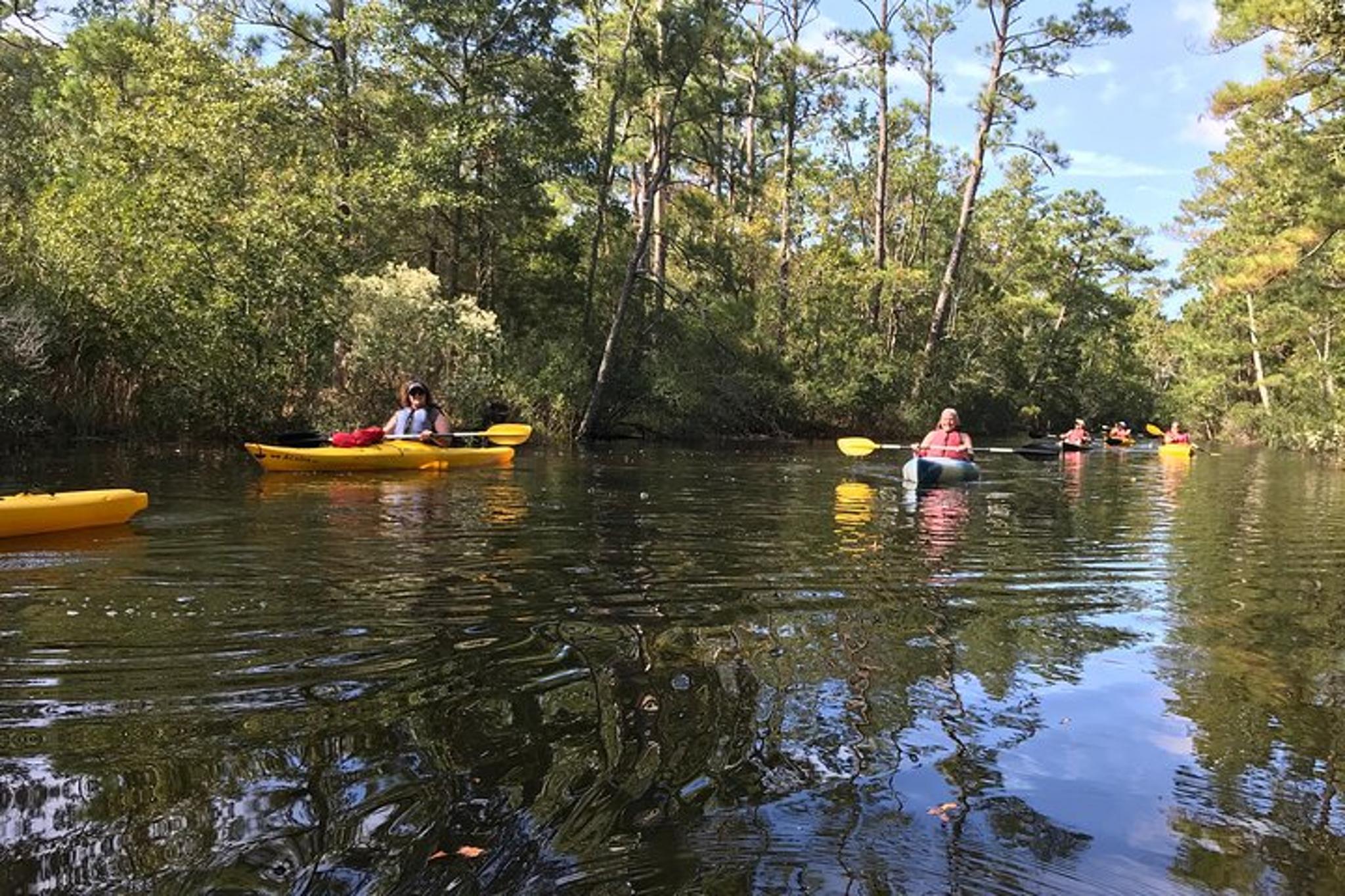 Kitty Hawk Maritime Forest Kayak Tour - Image 5