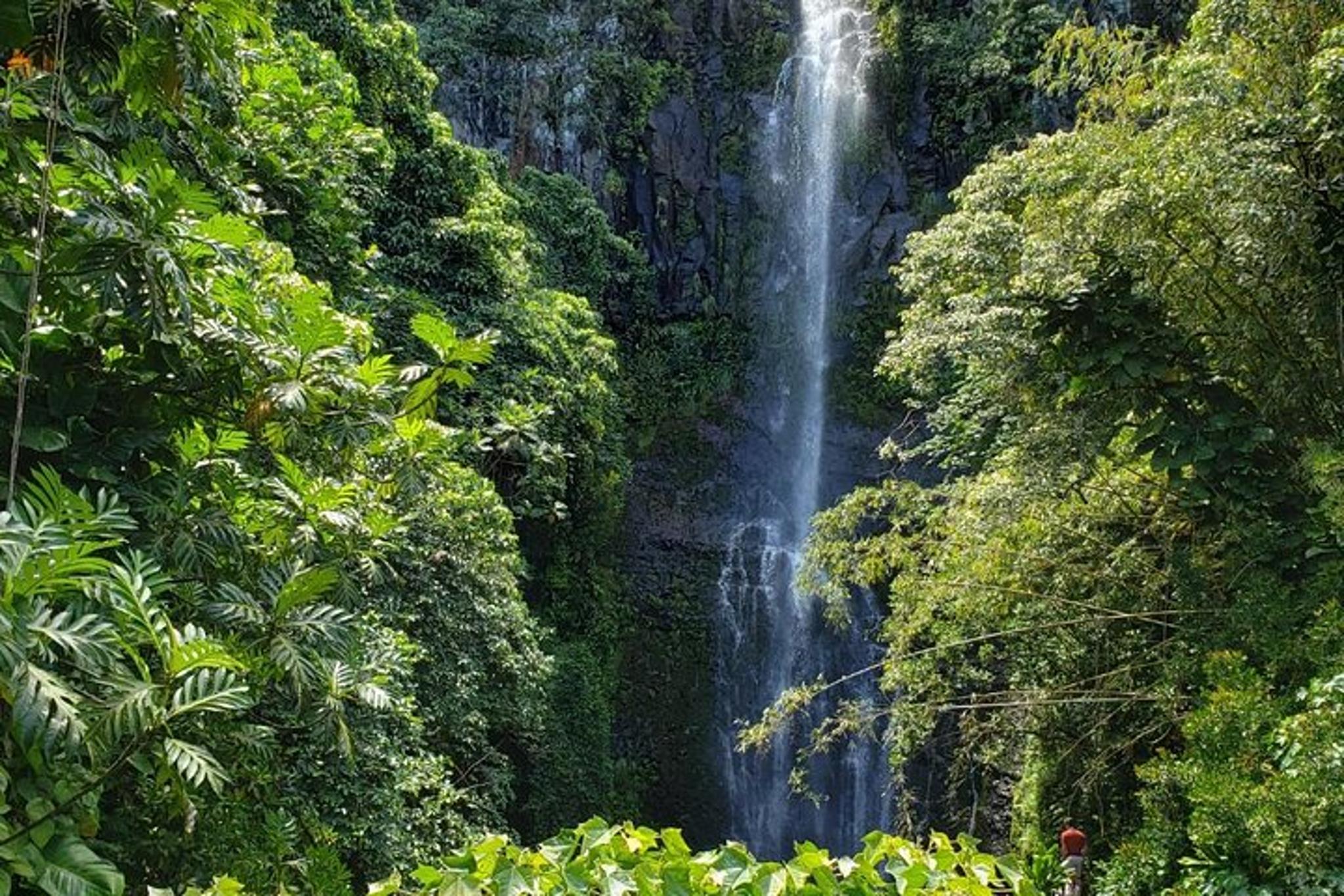 Maui Road to Hana Tour with Pickup - Image 5