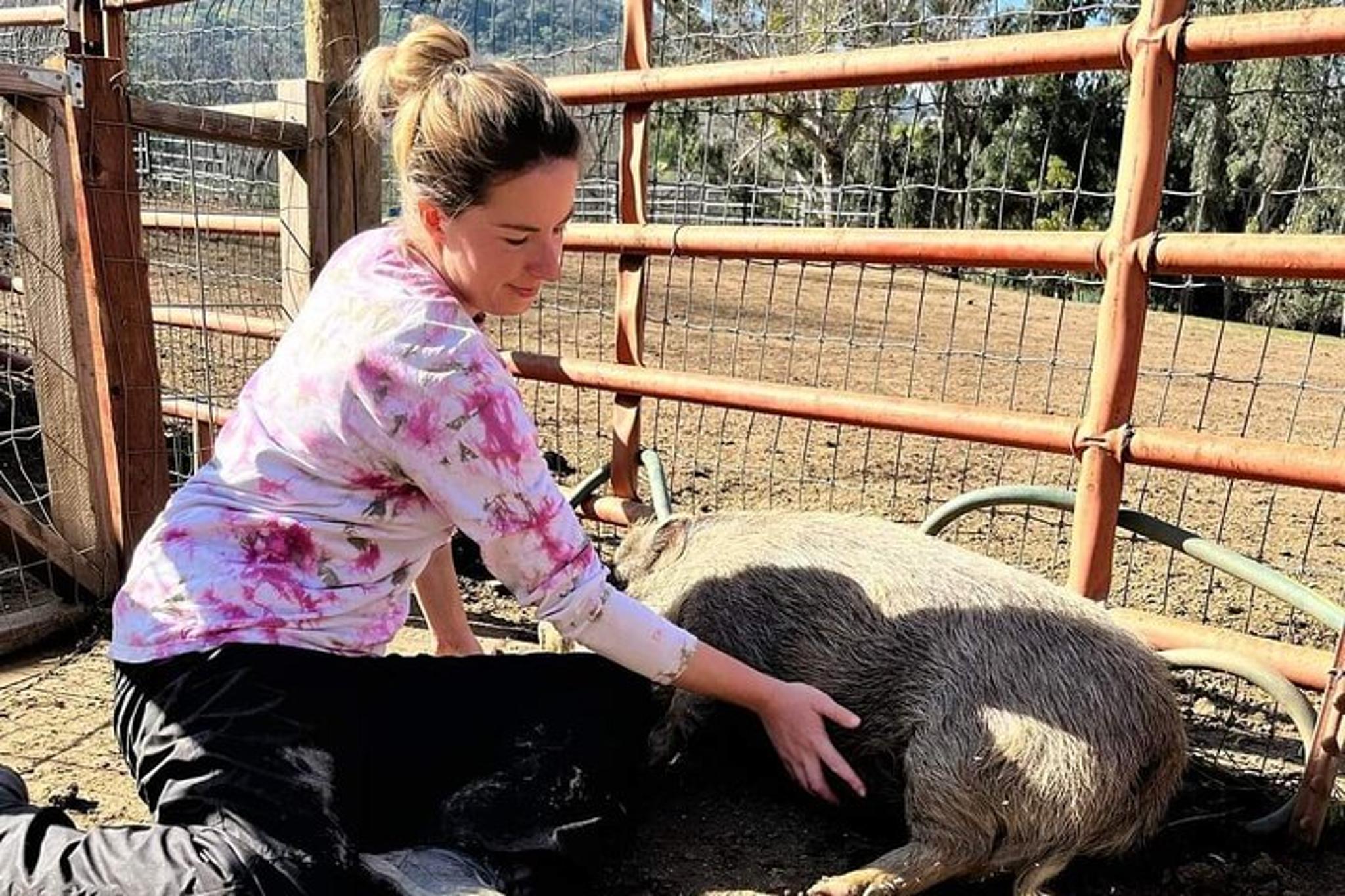 Blossom Peak Farm Tour - Image 2