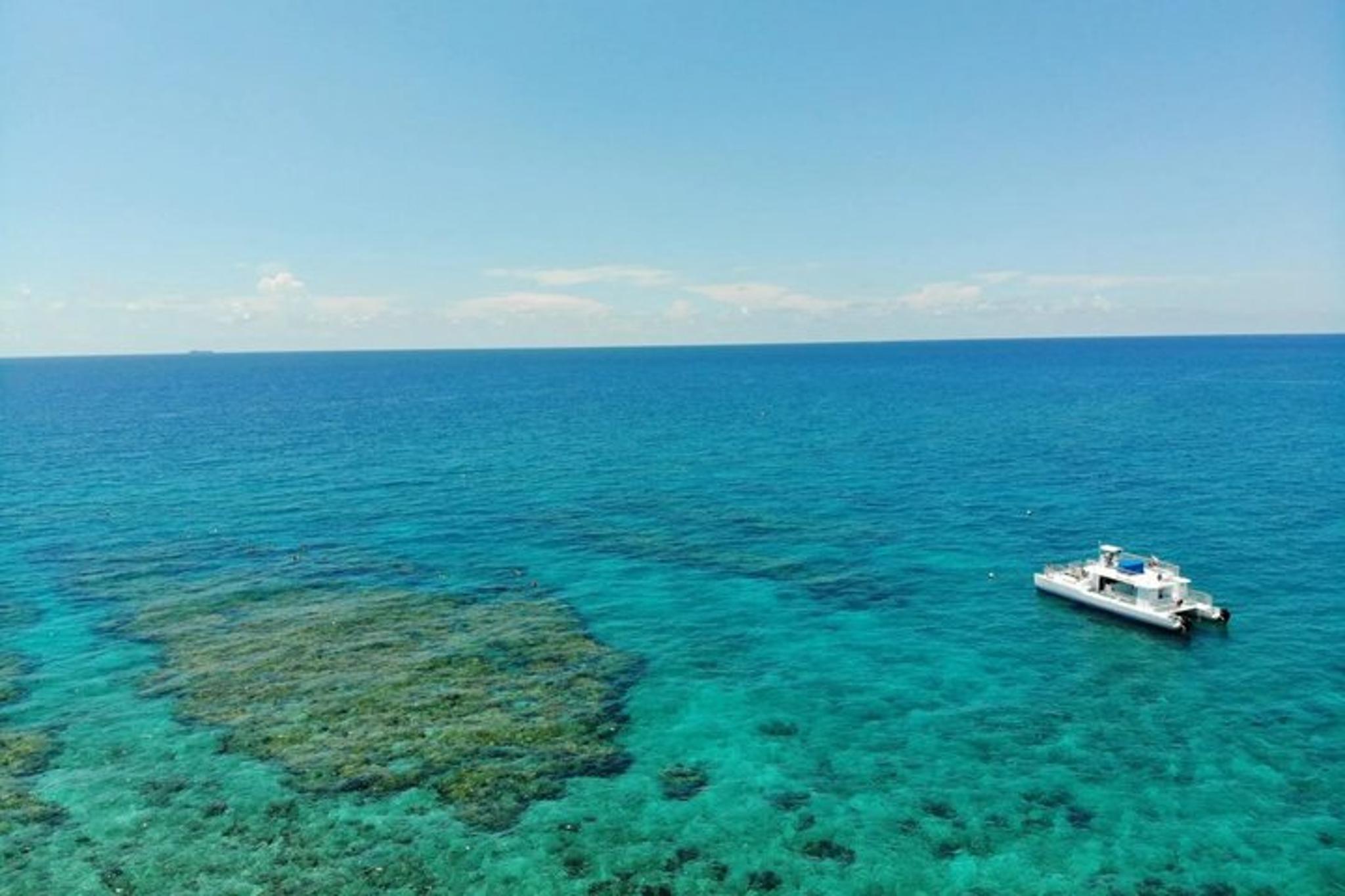 Key West Dolphin Watching and Snorkeling Cruise - Image 3
