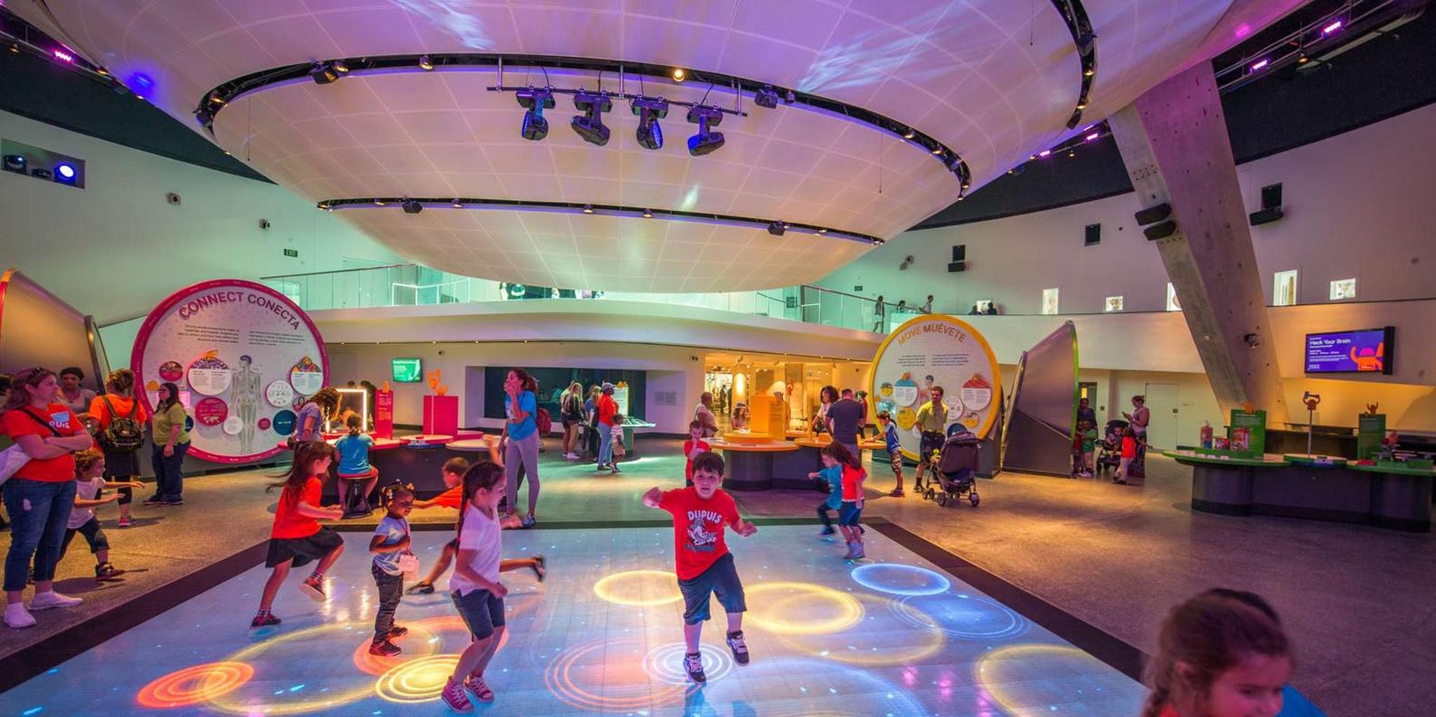 Miami Frost Museum of Science and Planetarium Entry - Image 4