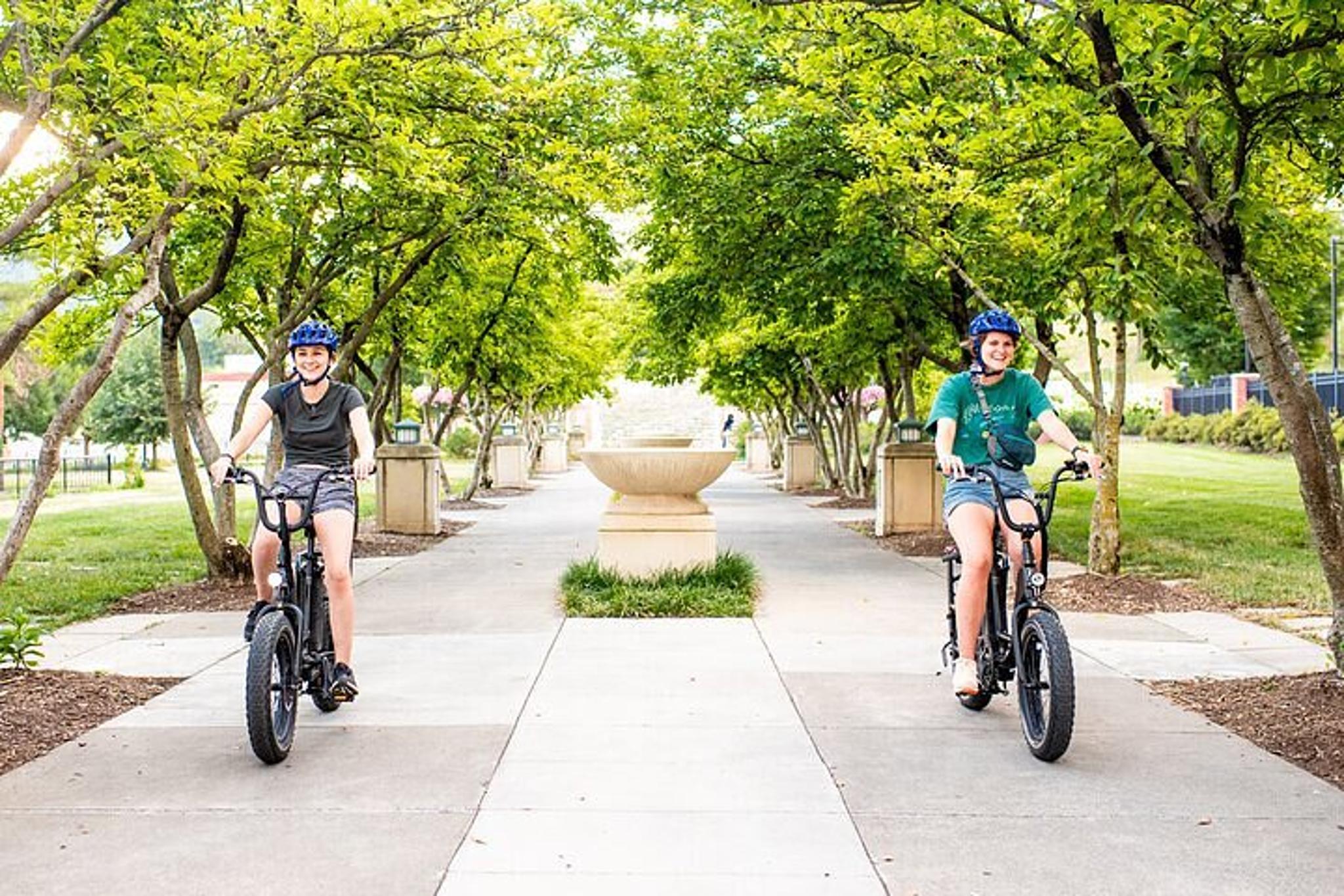 Roanoke Ebike Food Tour - Image 6
