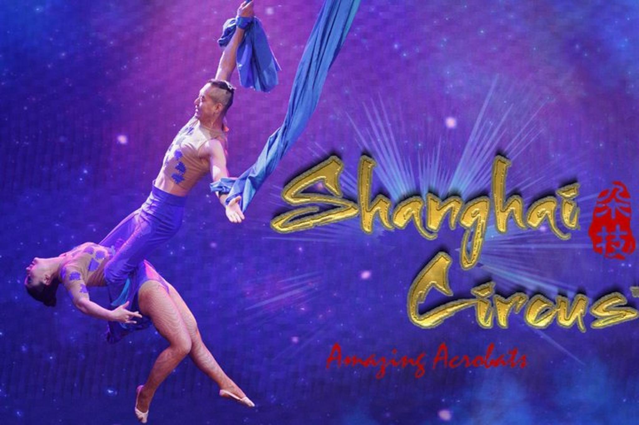 Branson Acrobatic Circus Show