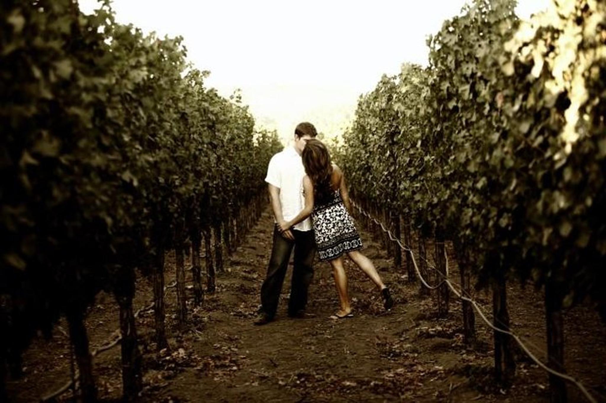 Napa Sonoma Limo Tour - Image 5