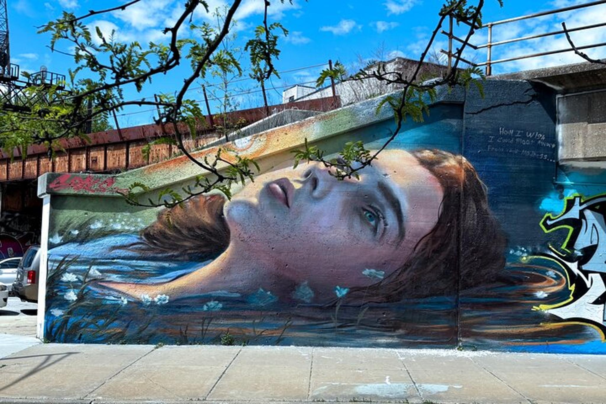 Chicago Street Art Tour in Fulton Market 2 hr