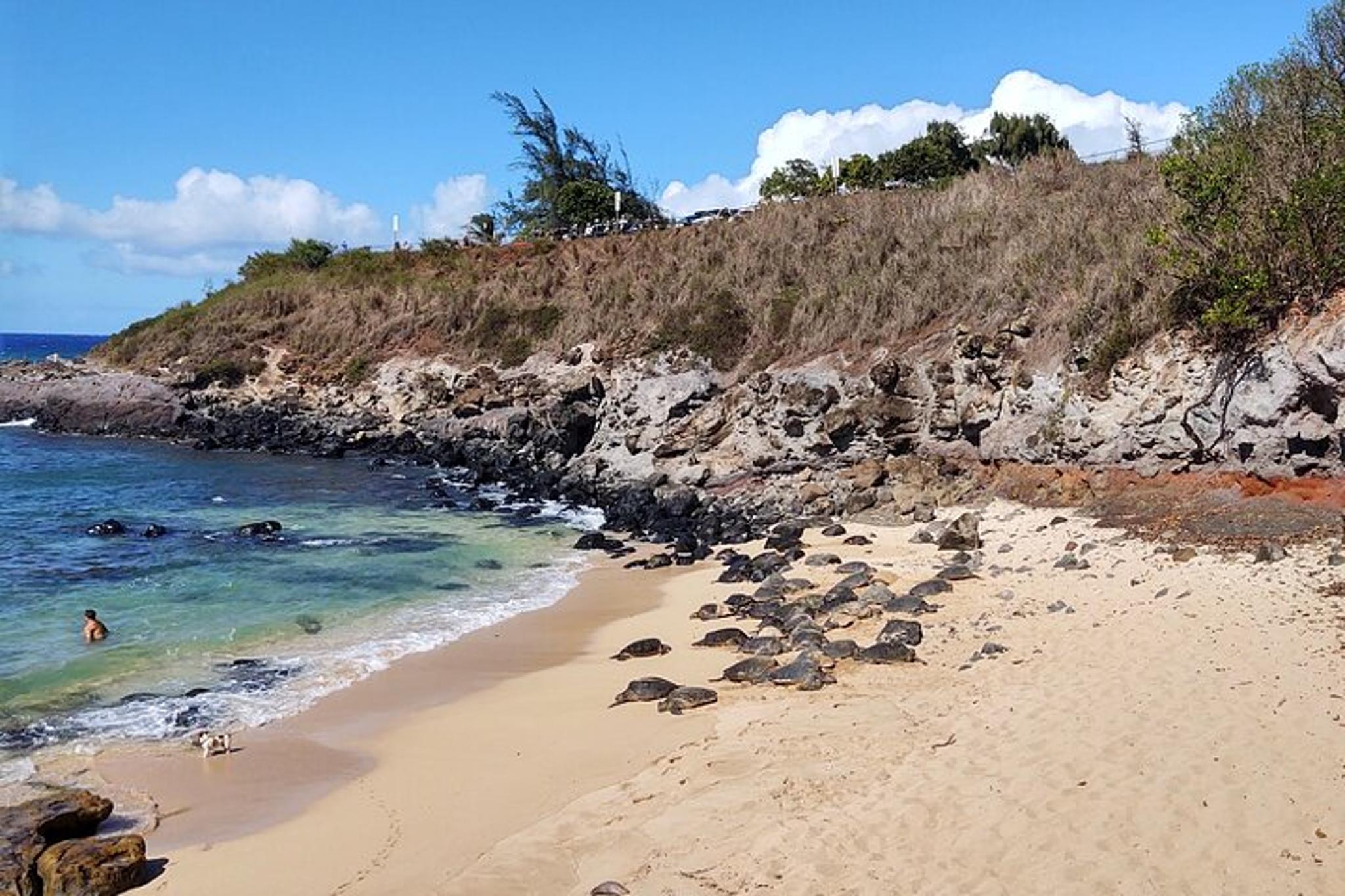 Maui Private Tour: Black Beach, Waterfalls, and Turtles - Image 6