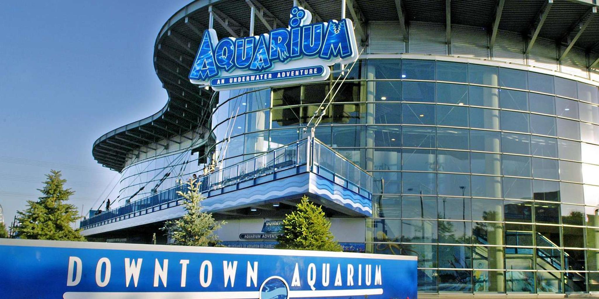 Denver Aquarium All-Day Pass - Image 1