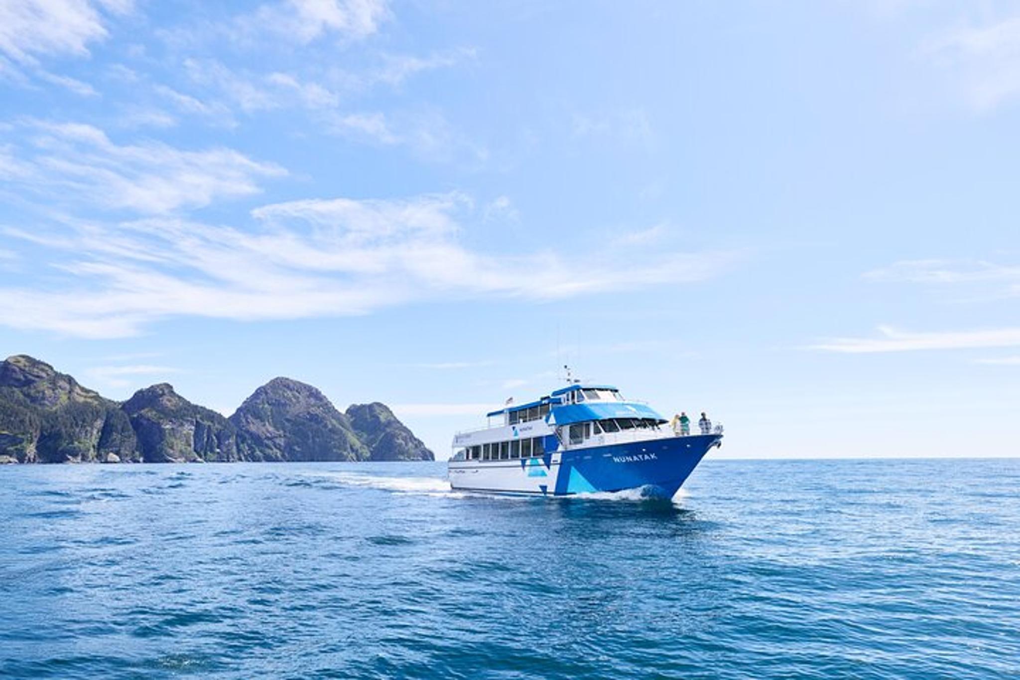Seward Wildlife and Glacier Cruise - Image 1