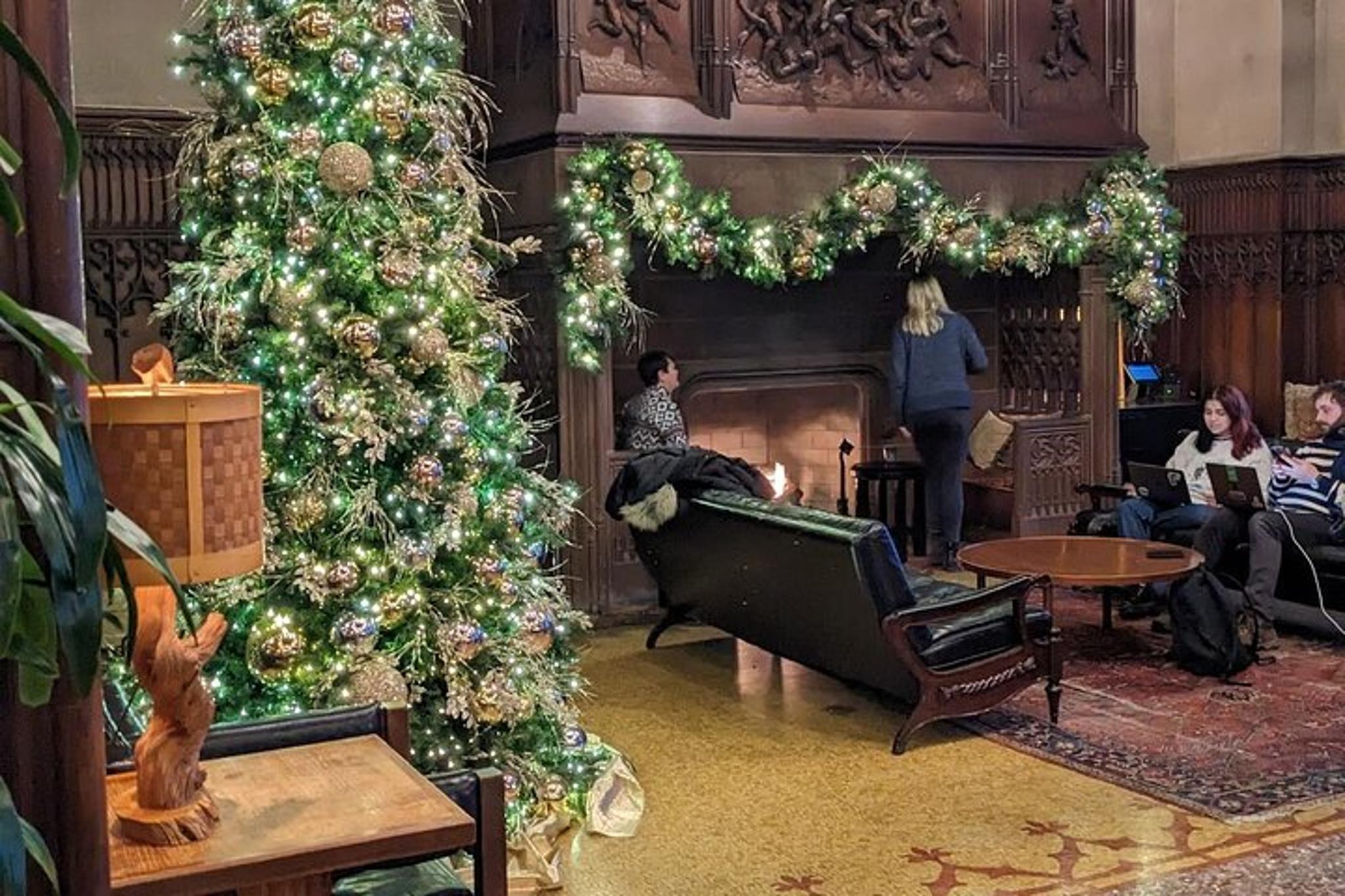Chicago Christmas Tree Crawl - Image 2