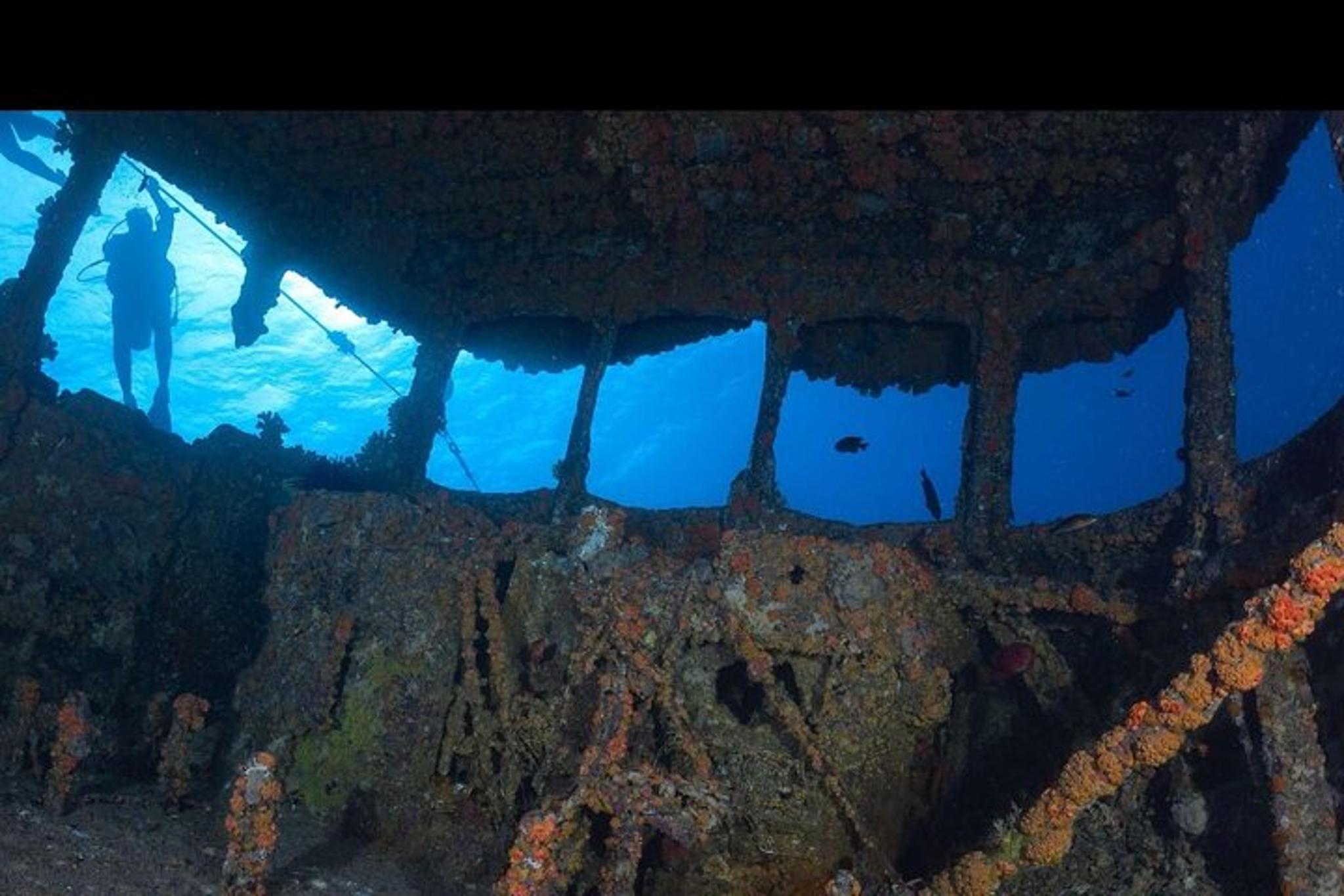 Waikiki Wreck and Reef Dive - Image 1