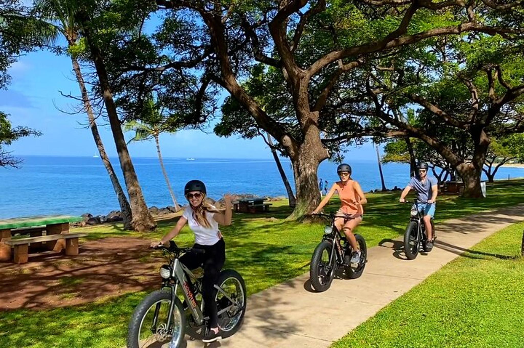 West Maui Self-Guided Electric Bike and Snorkel Explorer
