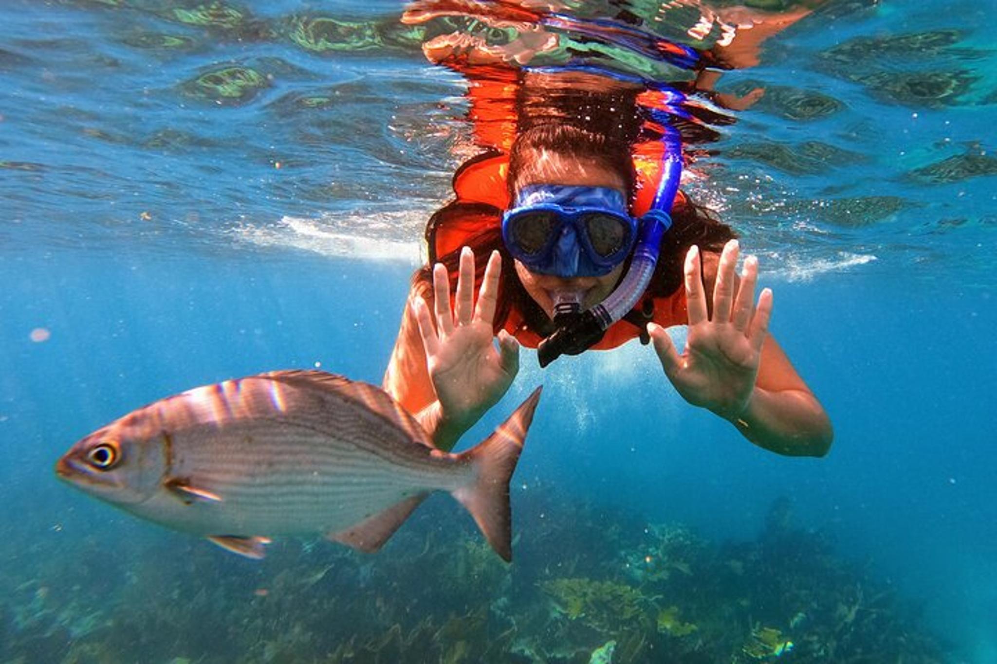 Key Largo Reef Snorkel Tour