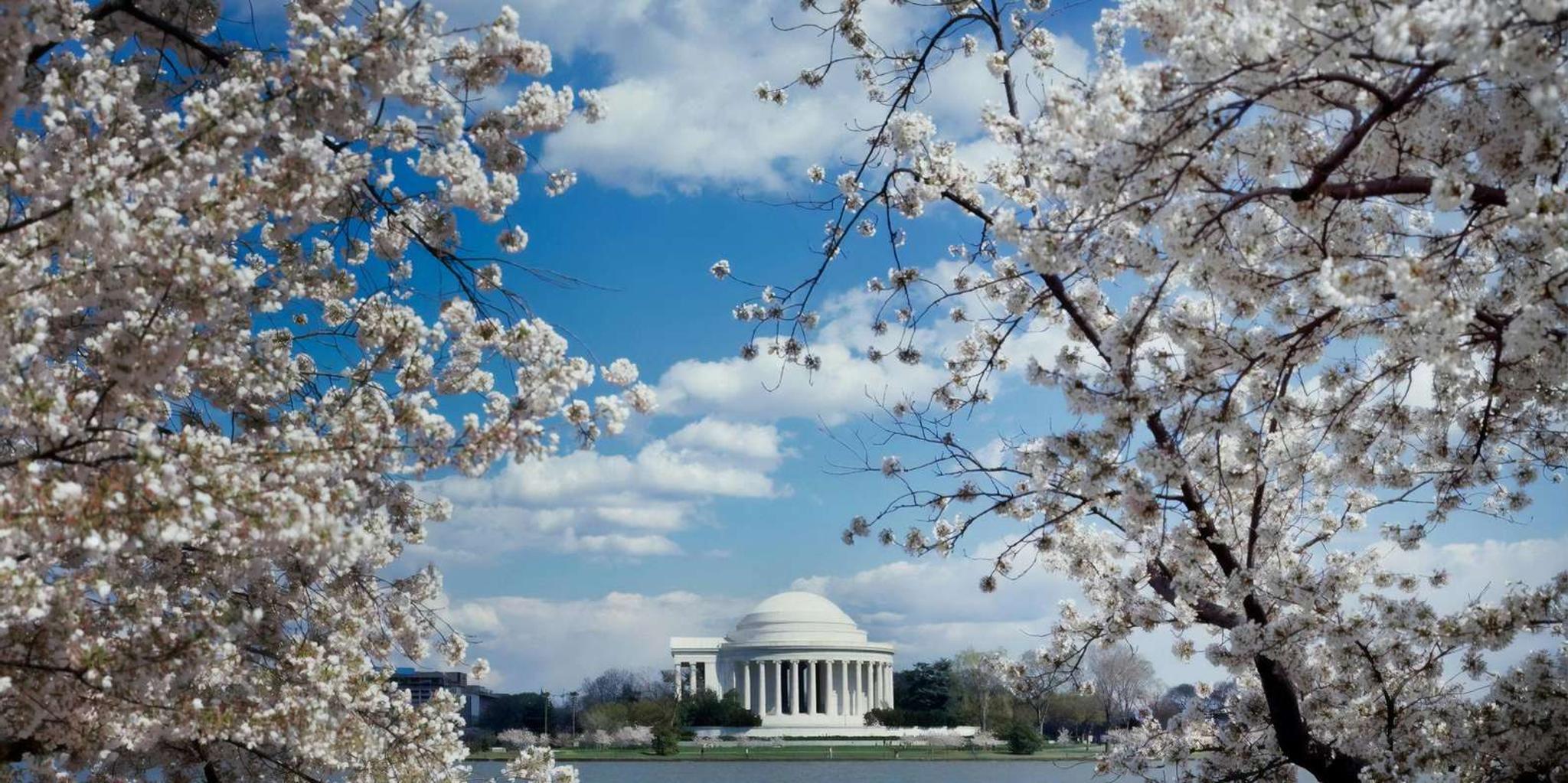 Washington DC Private SUV Tour - Image 4