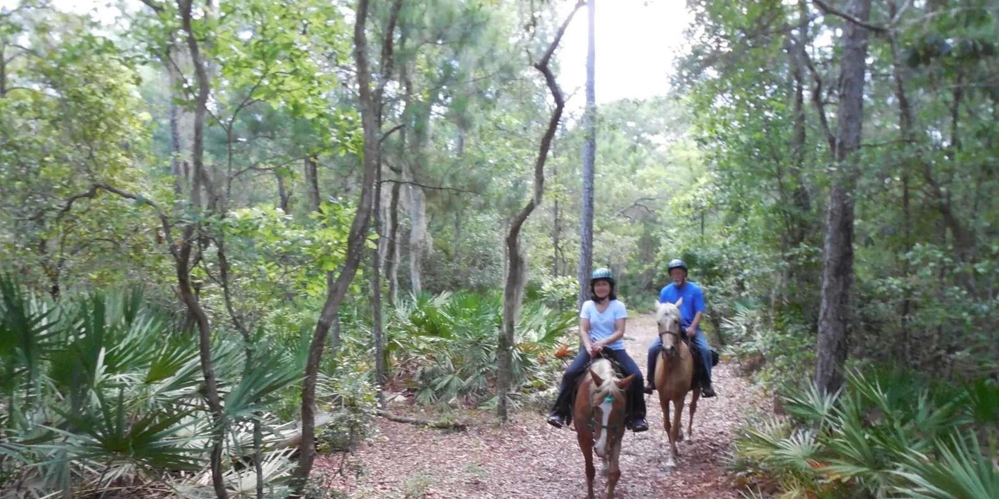 Amelia Island Horseback Ride at Pumpkin Hill 2 hr - Image 4