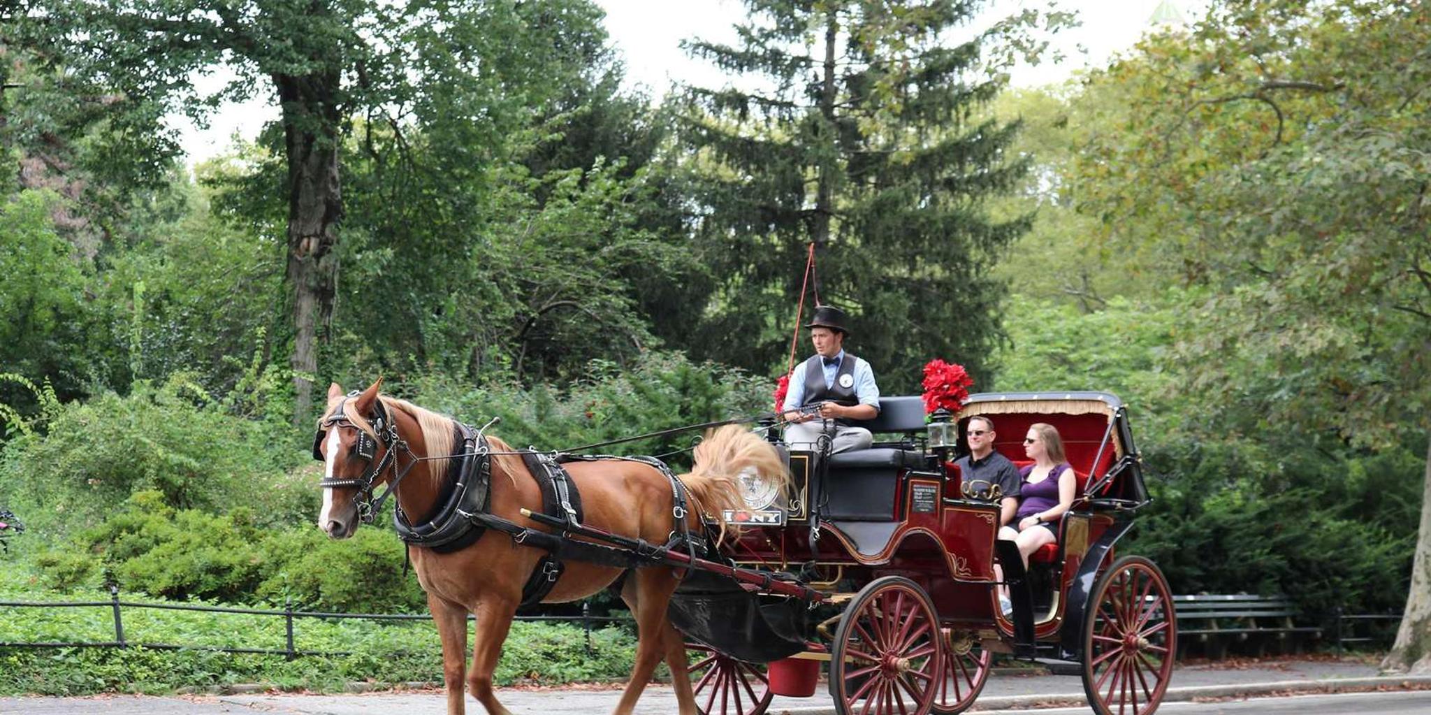 New York City Central Park Horse Carriage Ride - Image 4