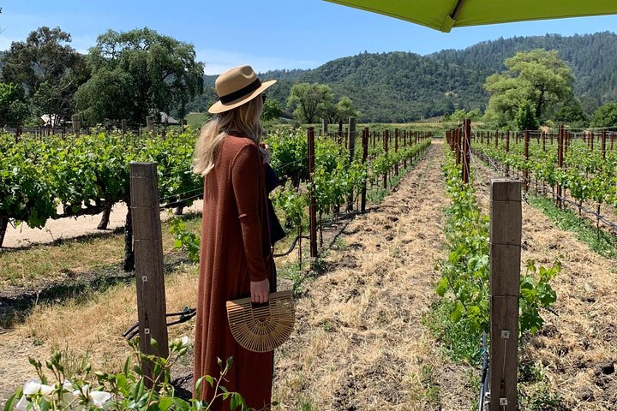 Napa Valley Wine Tour SUV Experience - Image 3