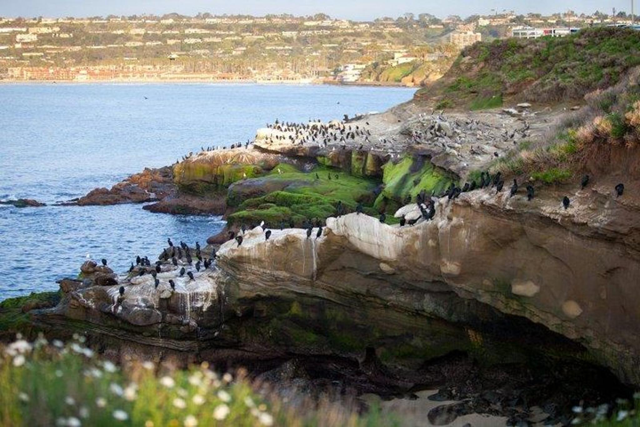 San Diego Sightseeing Tour - Image 3