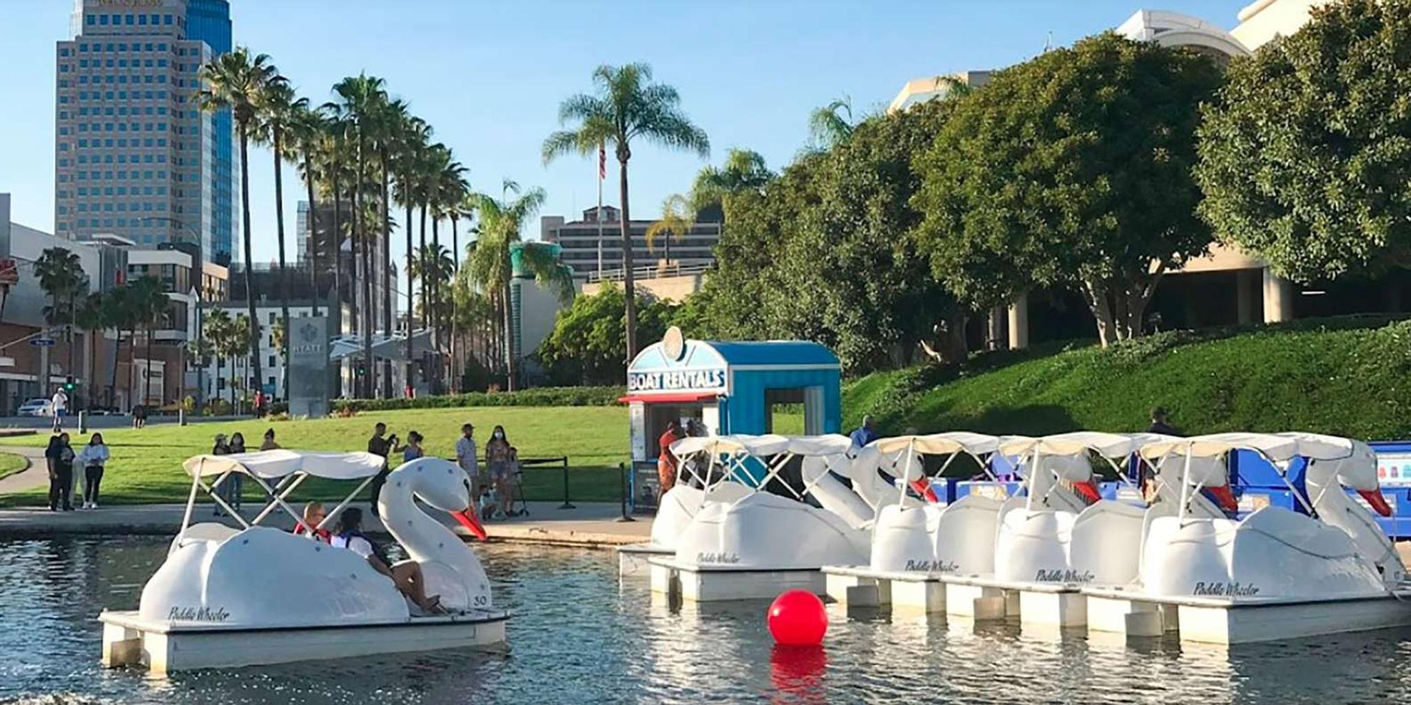 Long Beach Swan Boat Rental at Rainbow Lagoon