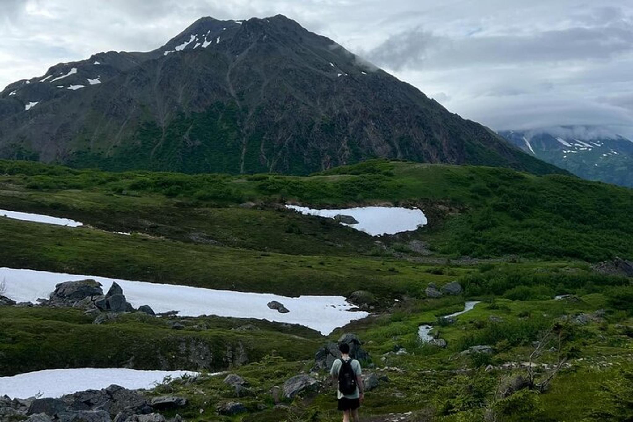 Seward Hiking Tour of Mount Marathon - Image 3