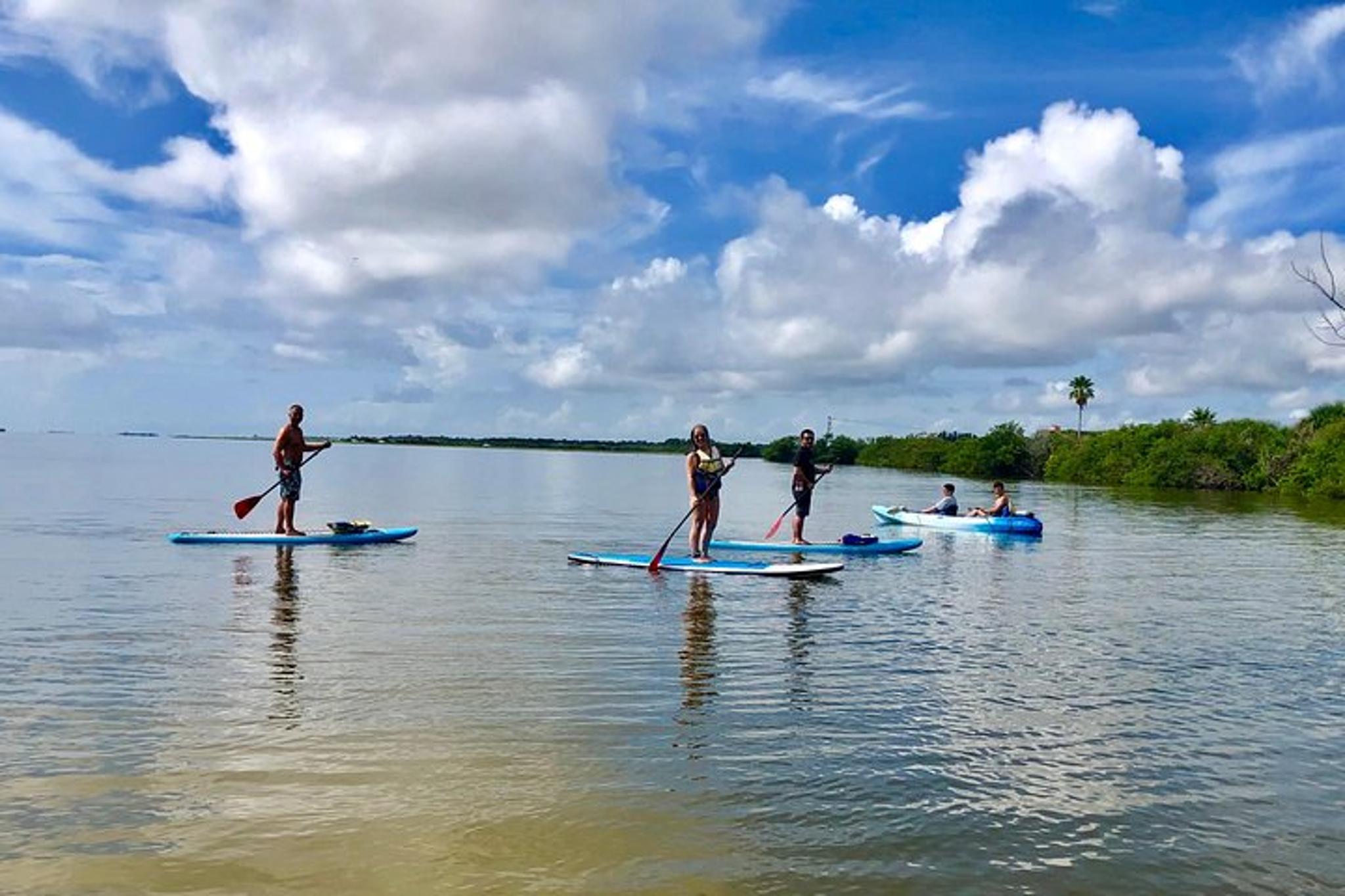 Banana River Paddle Board and Kayak Eco Tour - Image 4