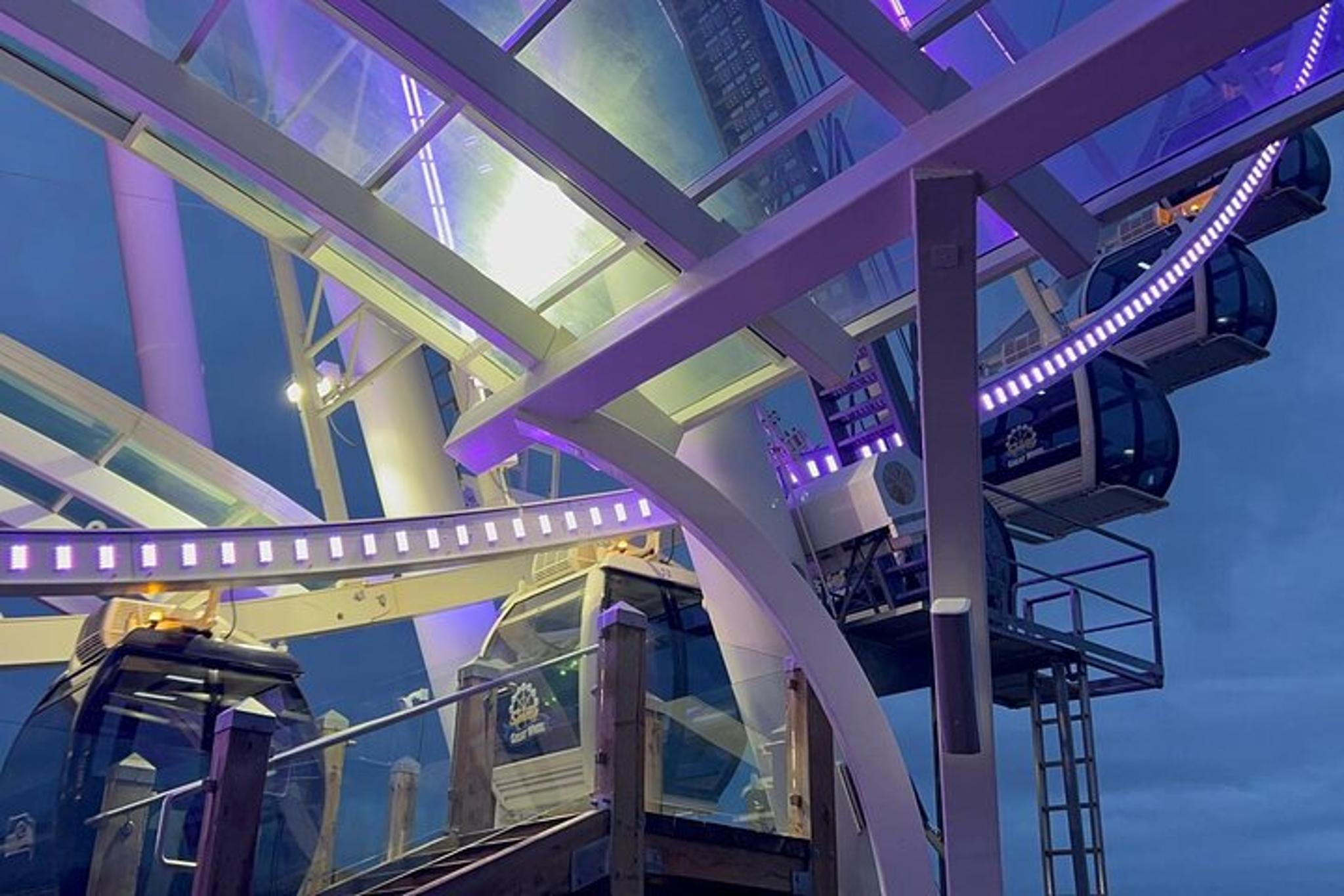 Seattle and Mt Rainier 2-Day Tour - Image 6