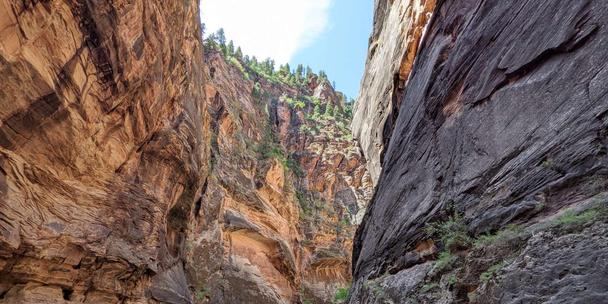 Las Vegas Zion National Park Small Group Tour - Image 2