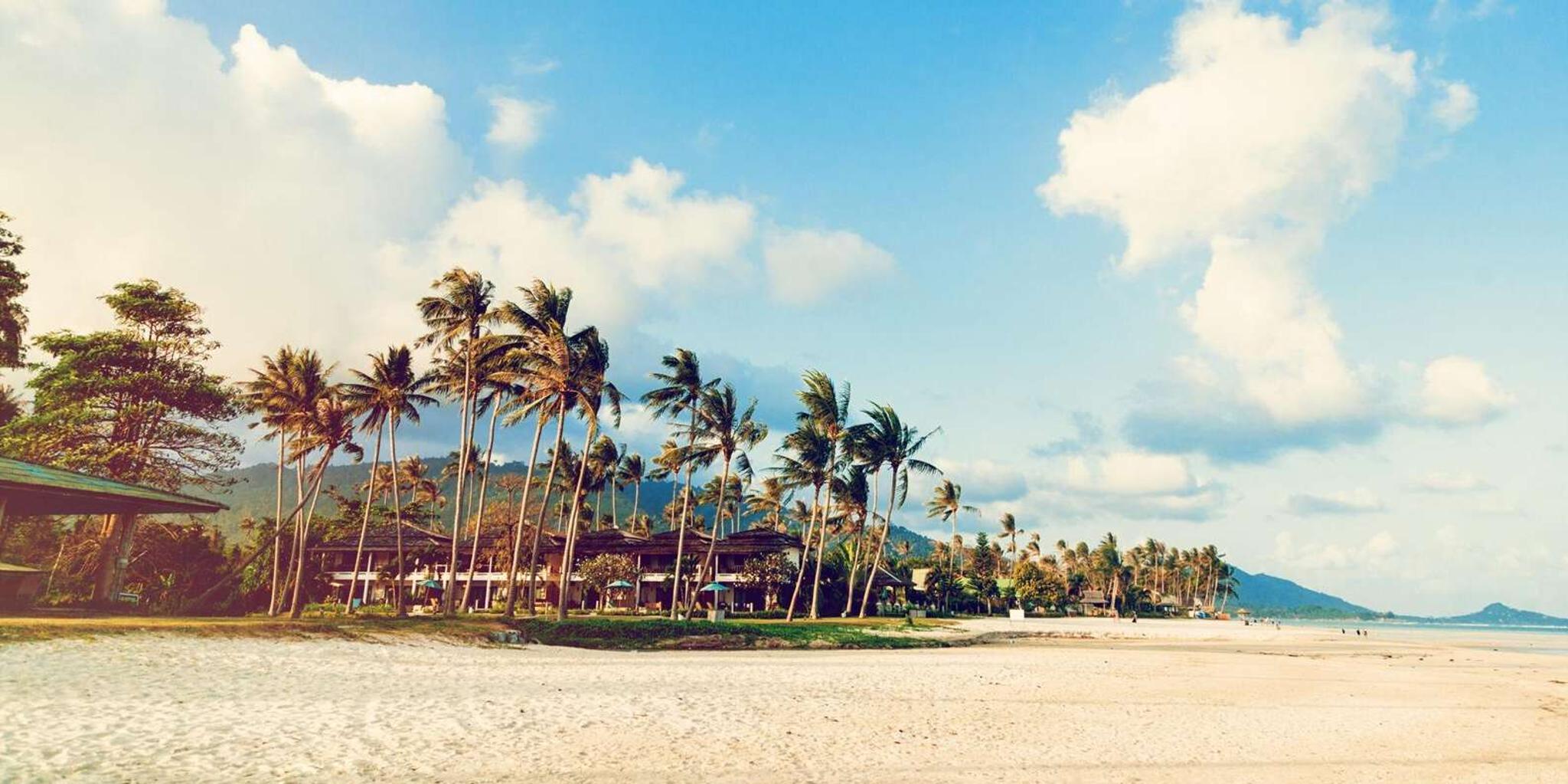 Los Angeles City & Beach Tour With Hotel Pick-Up 7 hr - Image 2