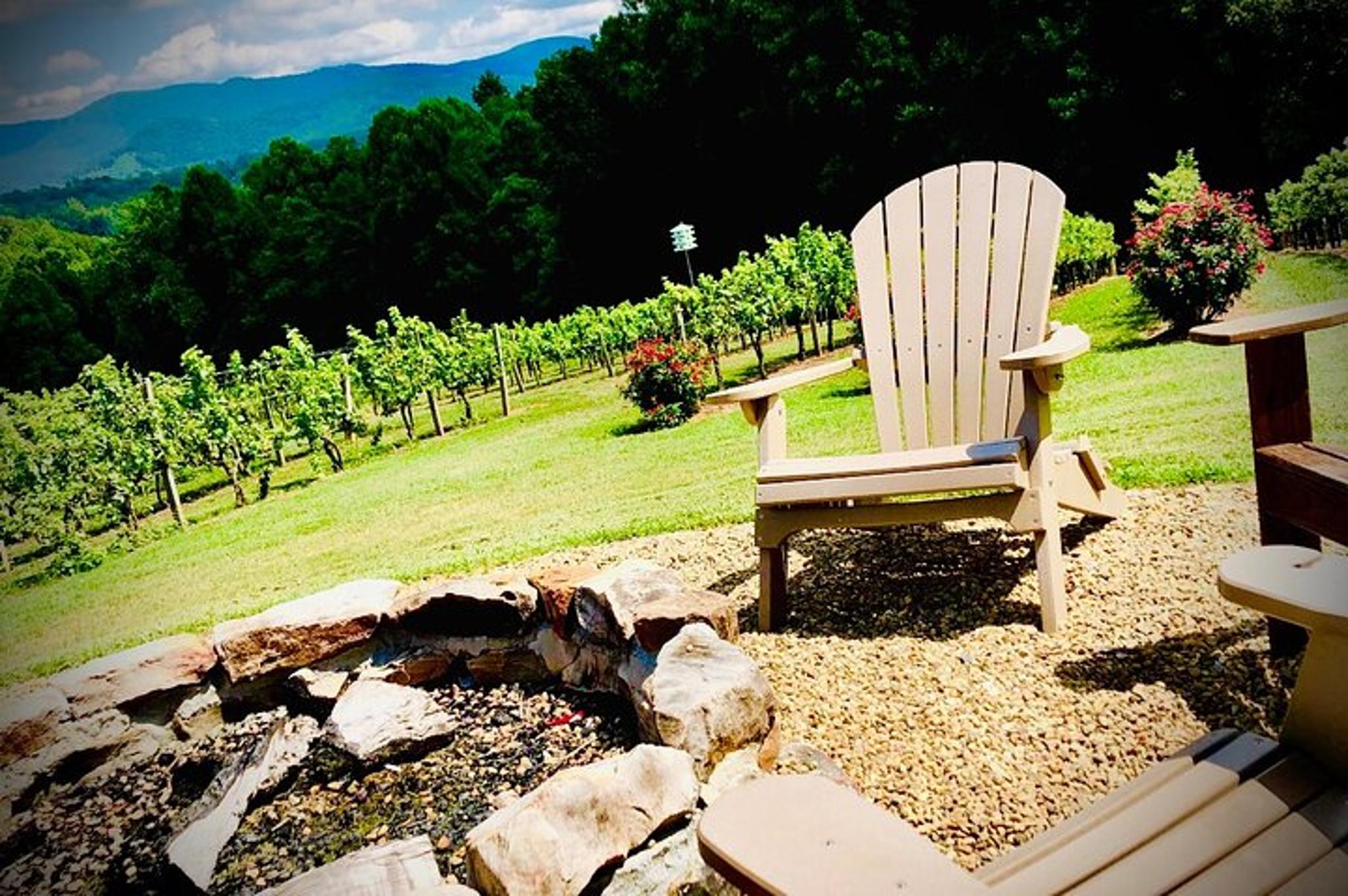 Asheville Wine Tour with Dining in Black Mountain - Image 6