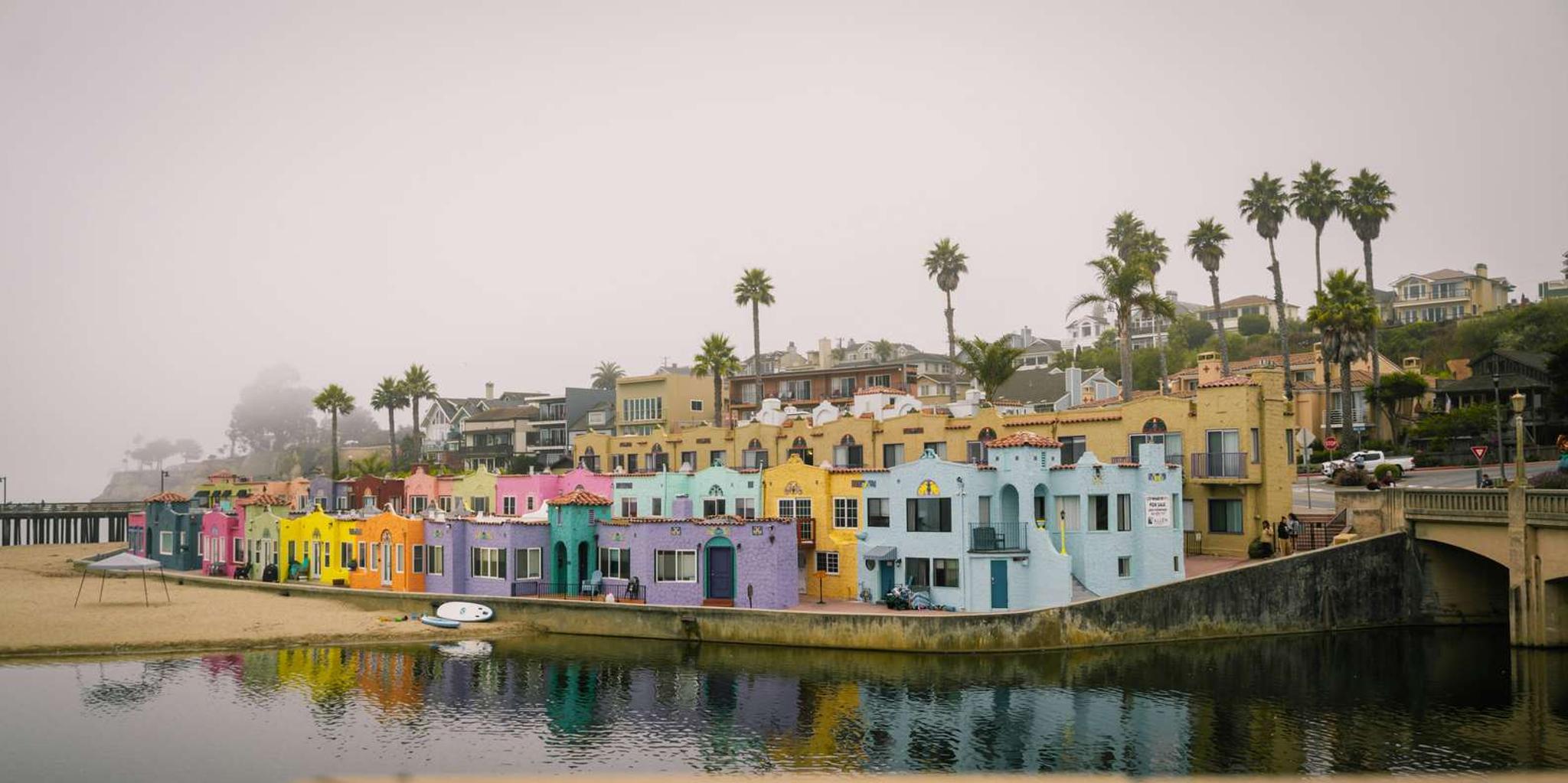 San Francisco Redwood Forest and Santa Cruz Day Trip - Image 6