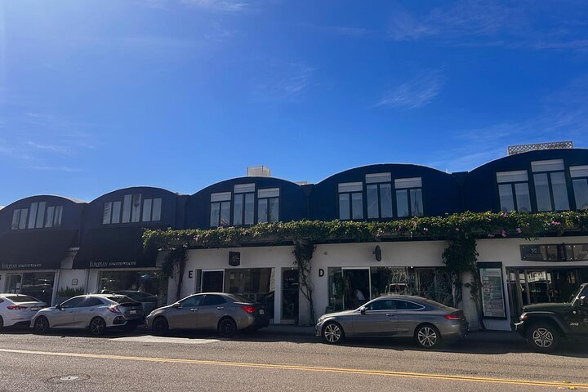 San Diego Cedros Avenue Design District Walking Tour - Image 5