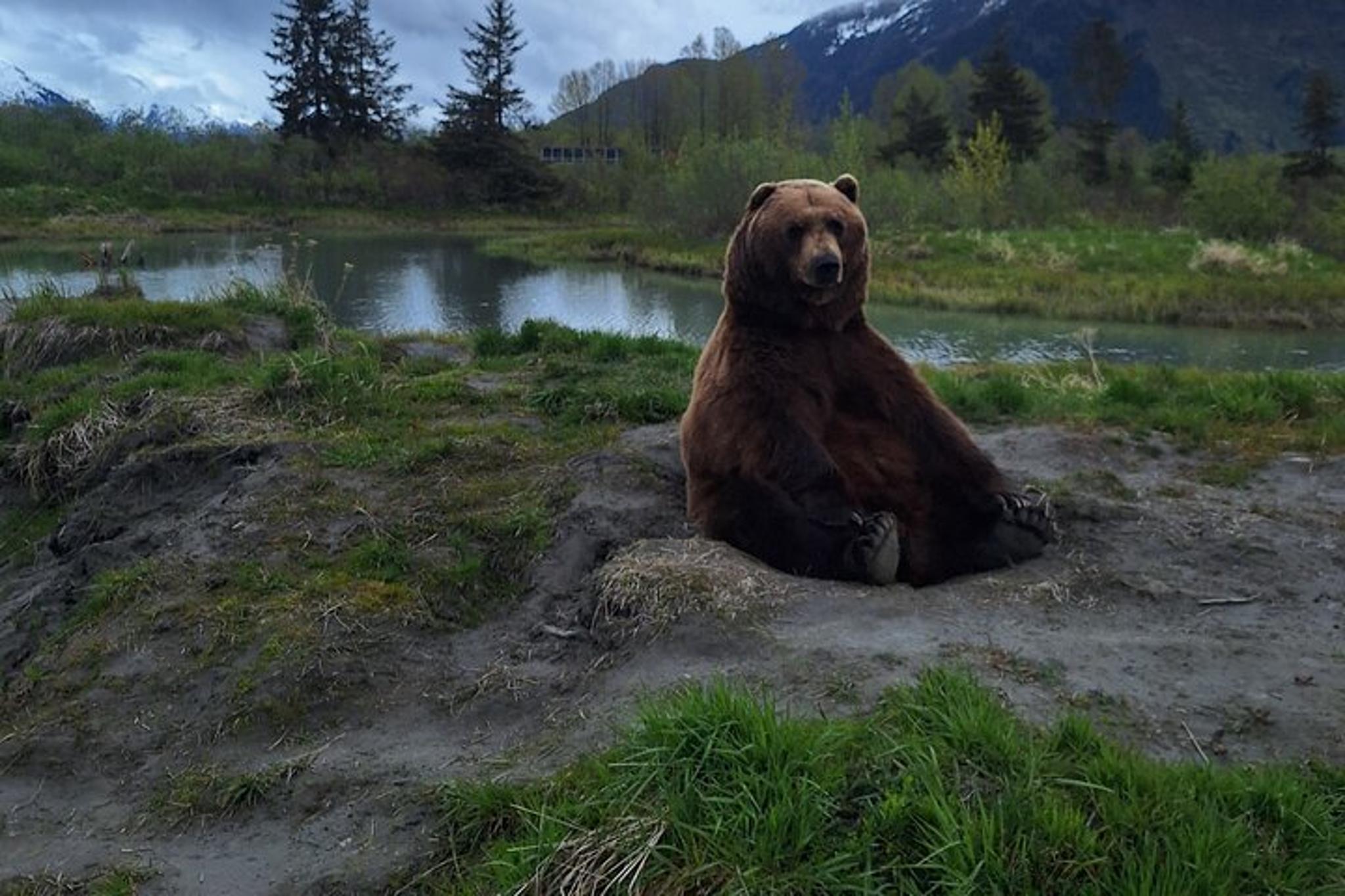 Anchorage Turnagain Arm Tour 6 hr - Image 6