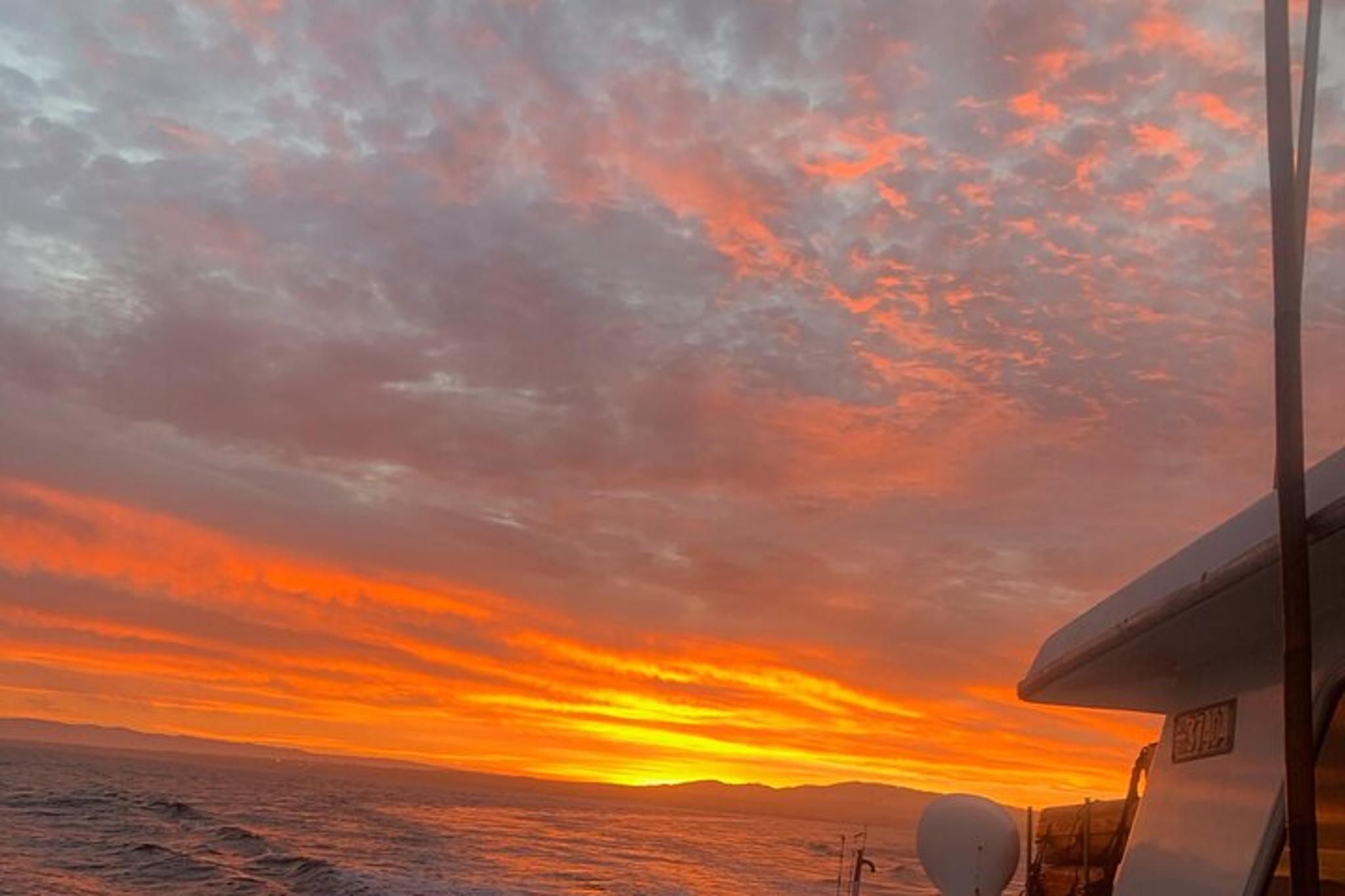 Monterey Whale Watching Tour at Sunset