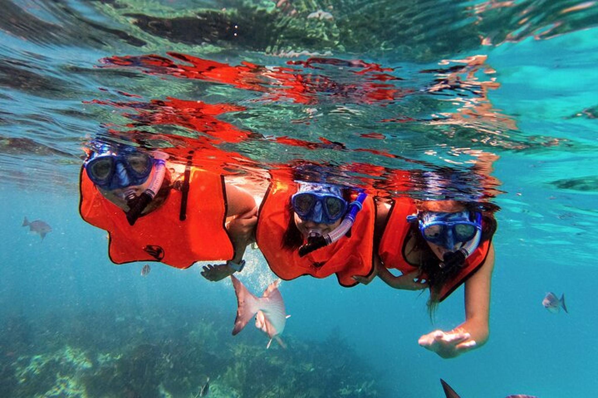 Key Largo Snorkel Tour John Pennekamp State Park 3 hr - Image 3