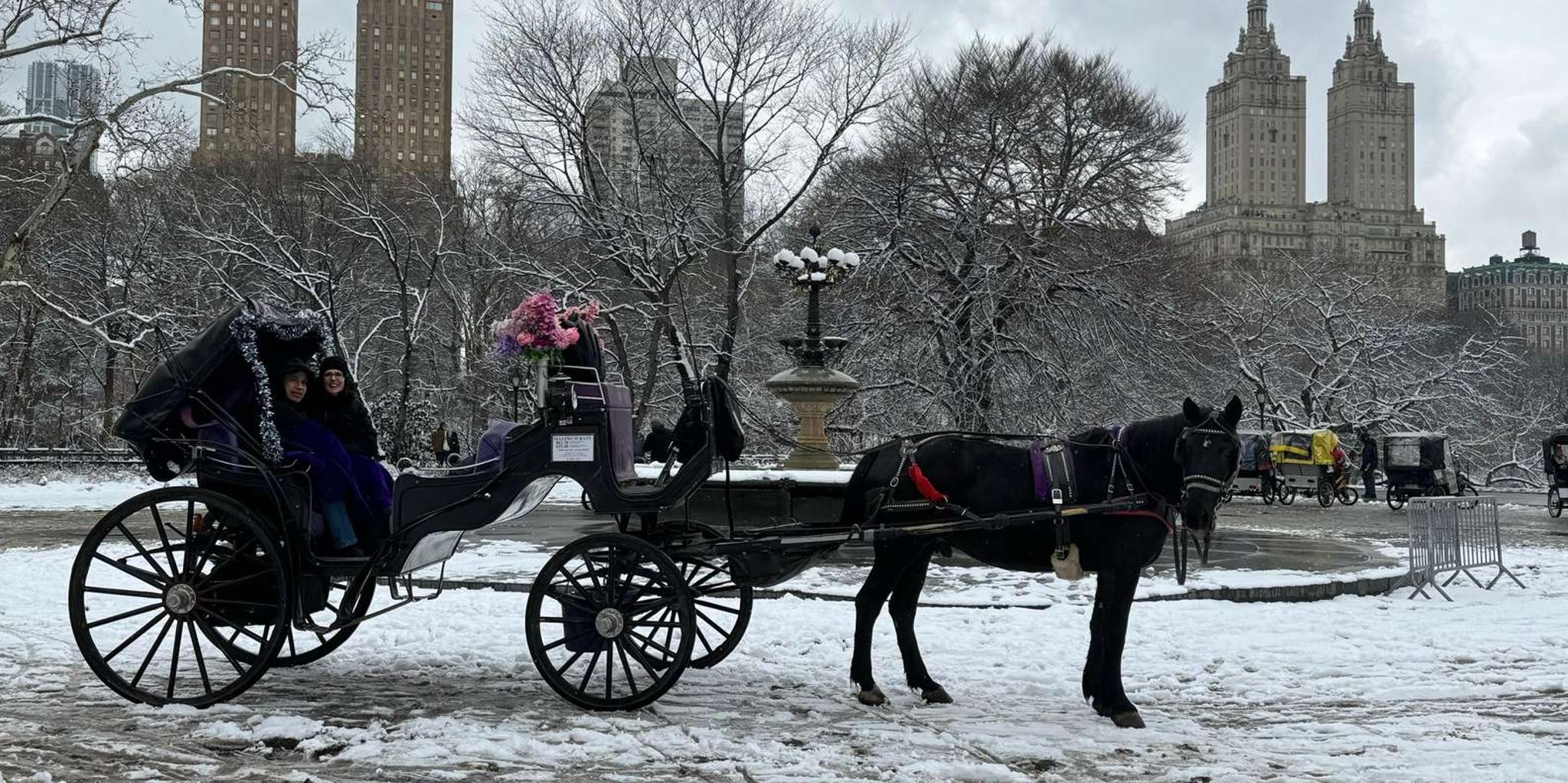 New York City Central Park Horse Carriage Ride - Image 2