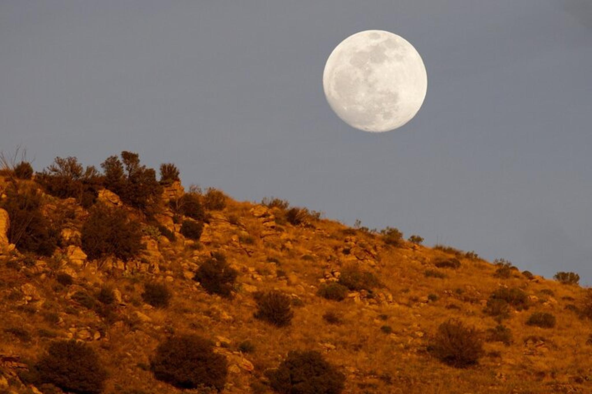 Tucson Mt. Lemmon Scenic Byway Driving Tour - Image 6