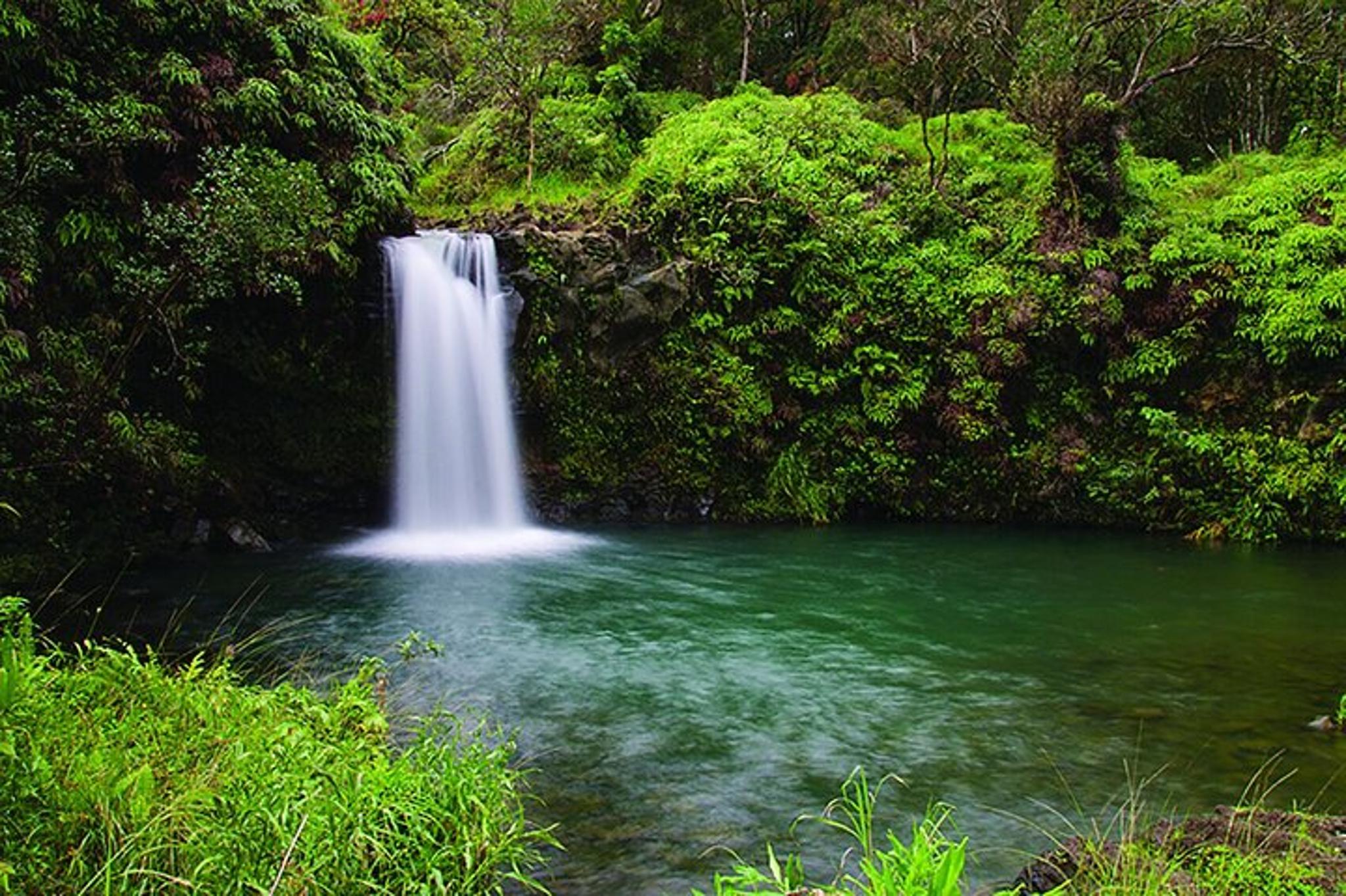 Maui Road to Hana Private Tour - Image 3