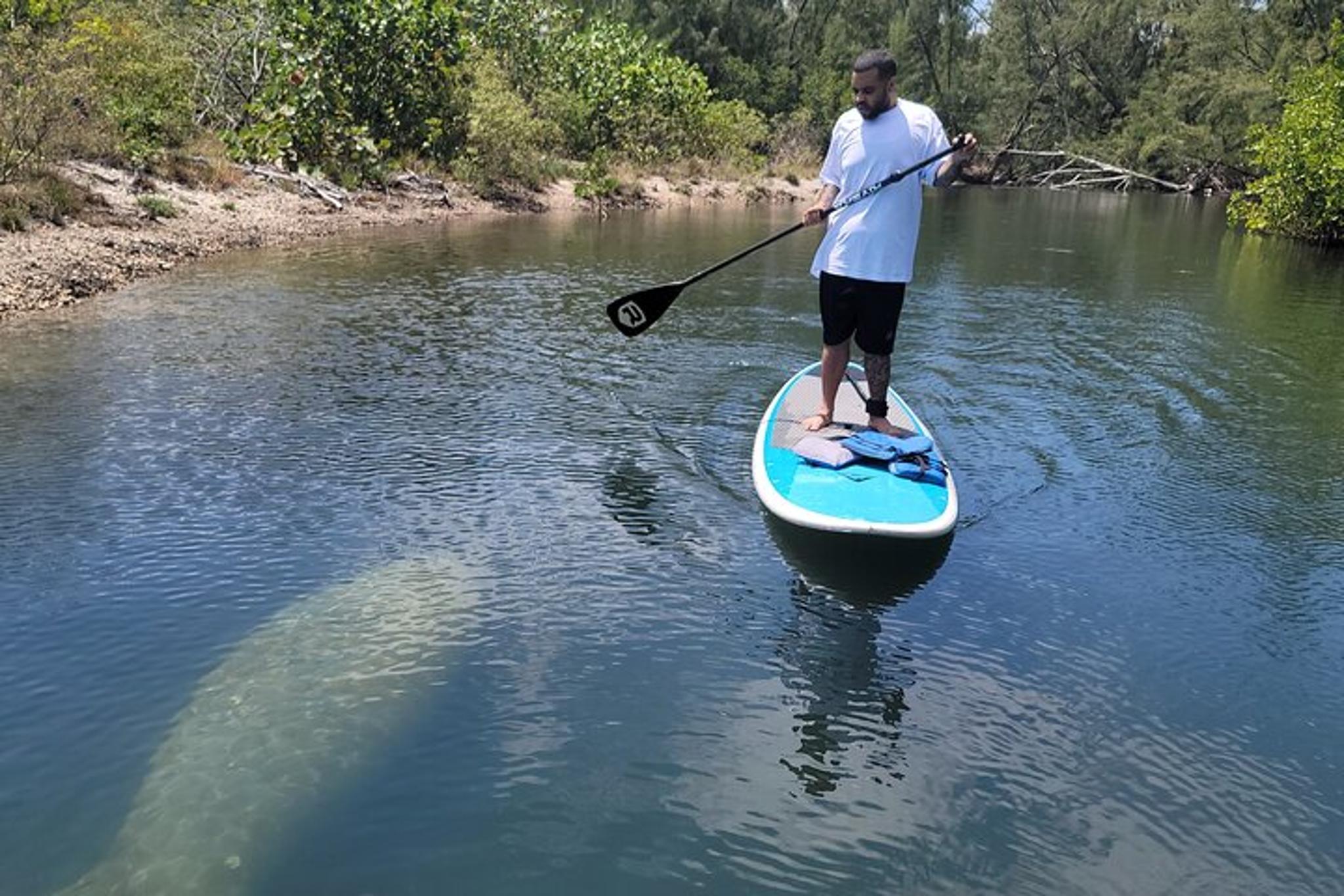 Miami Stand Up Paddle Boarding Experience - Image 1
