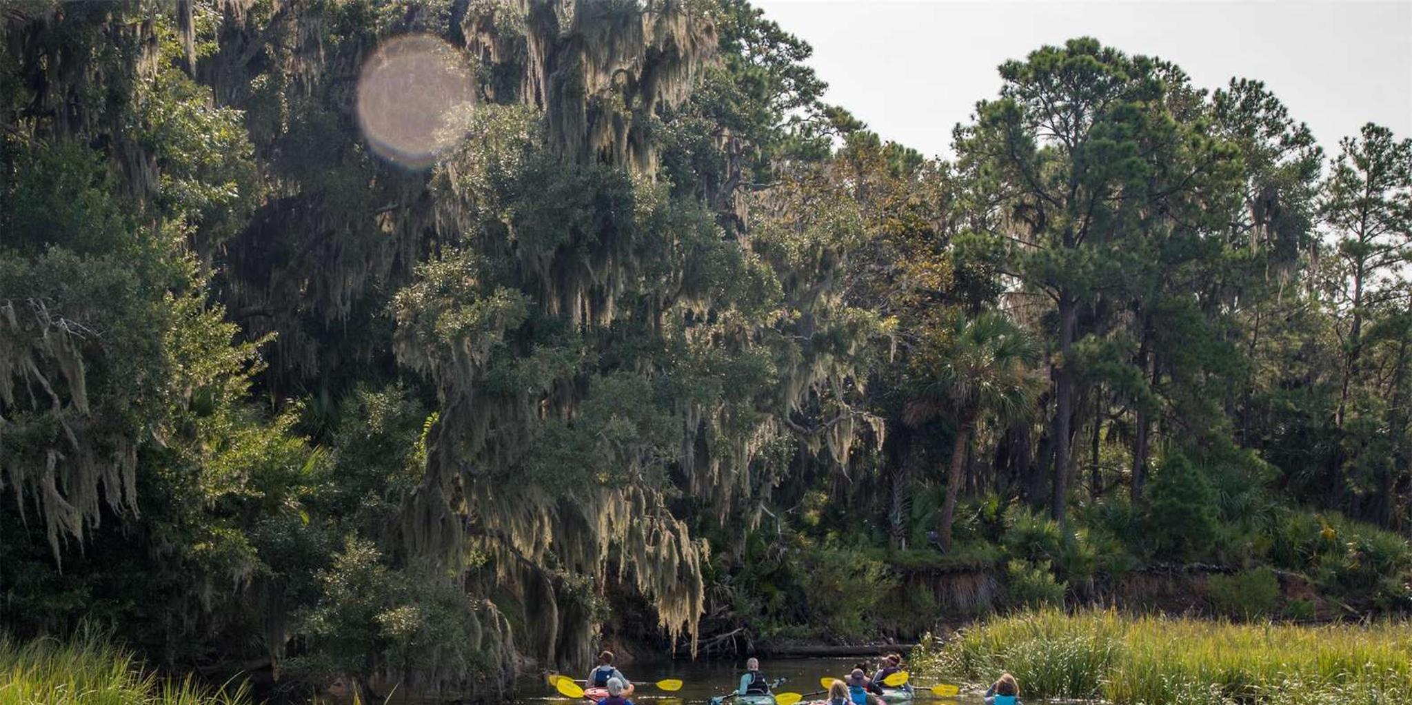 Hilton Head Private Outback Kayak Tour - Image 5