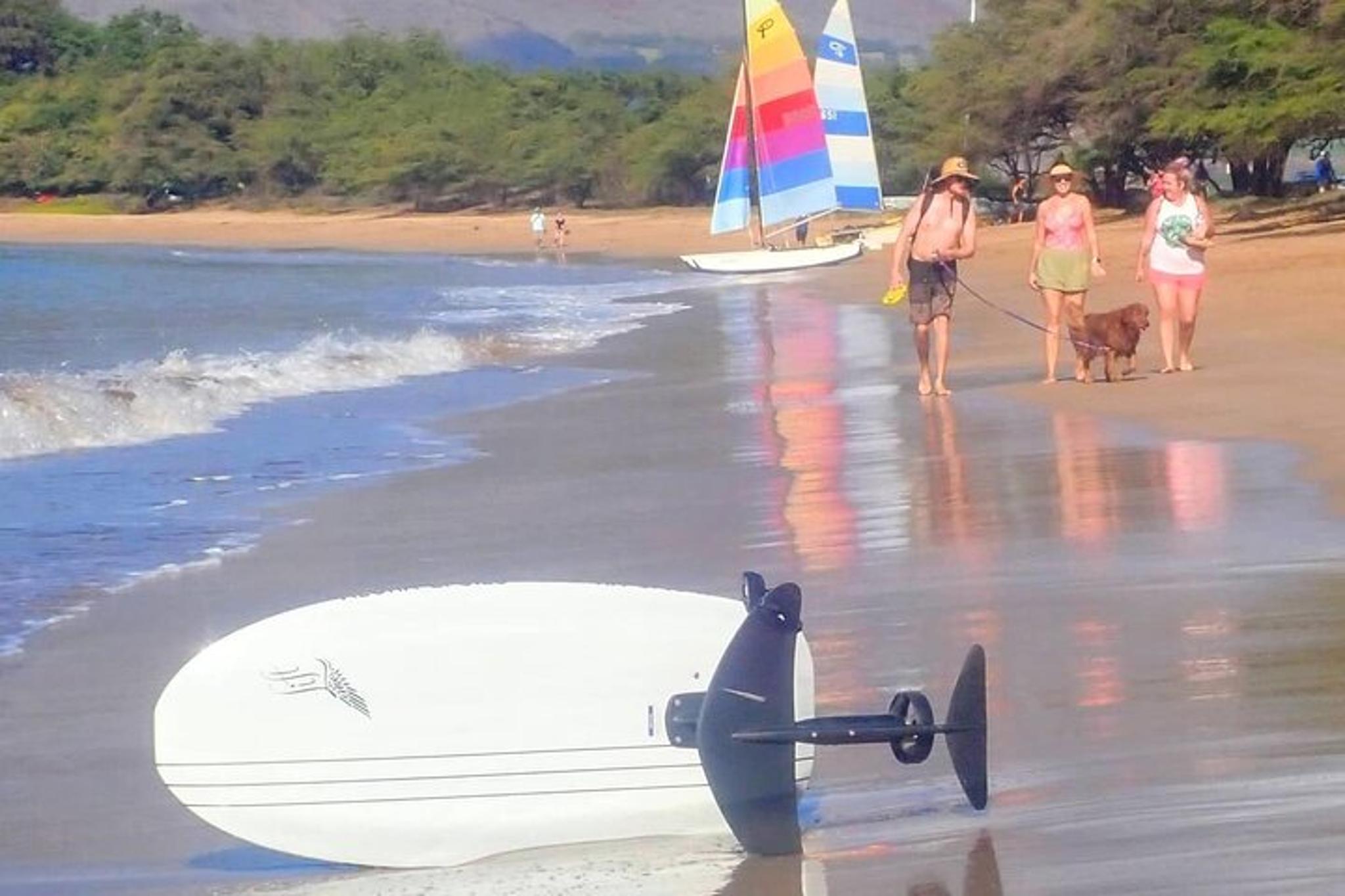 Maui Electric Foilboard Lessons at Sugar Beach - Image 3