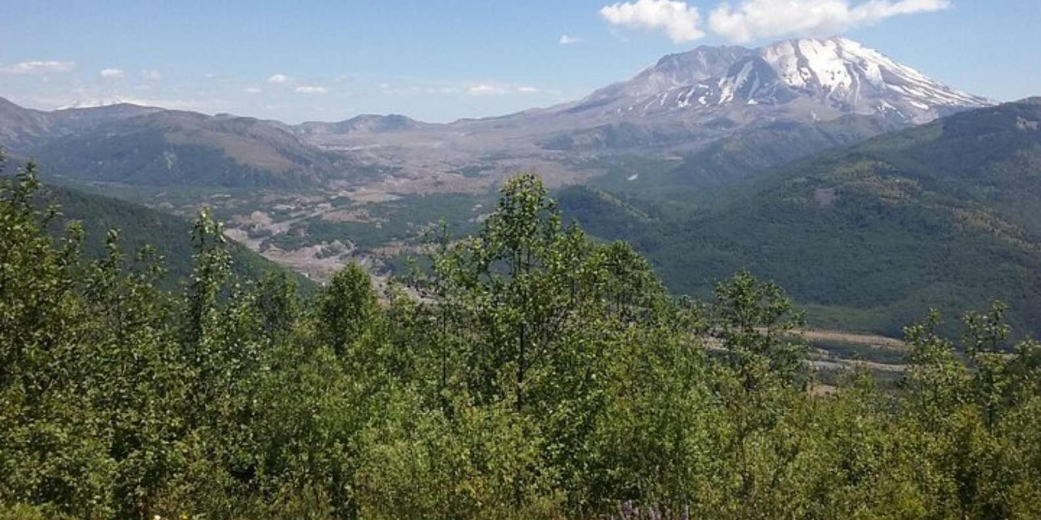Seattle Mount St. Helens Day Trip - Image 6
