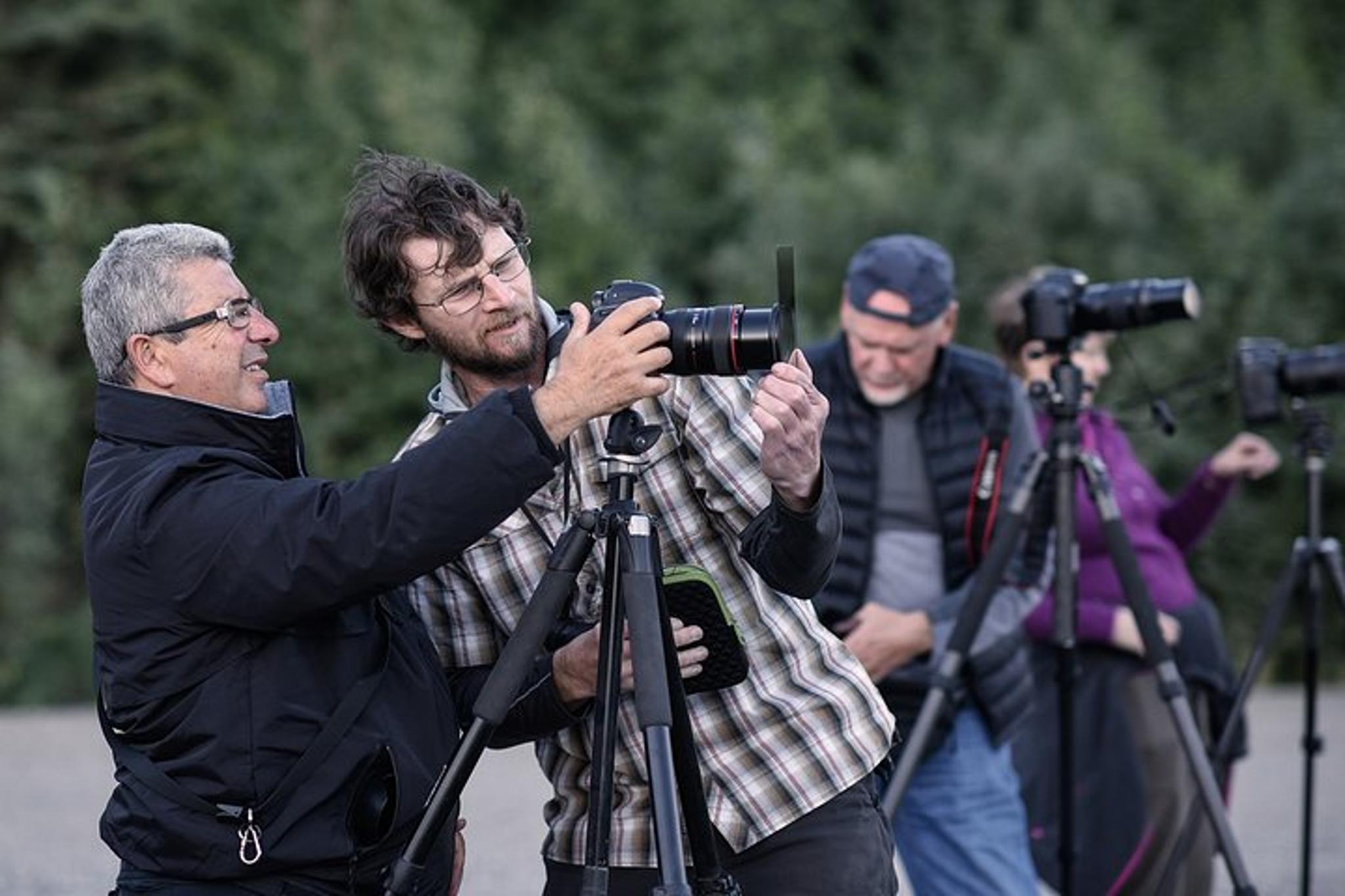 Denali Photo Excursion 3 hr