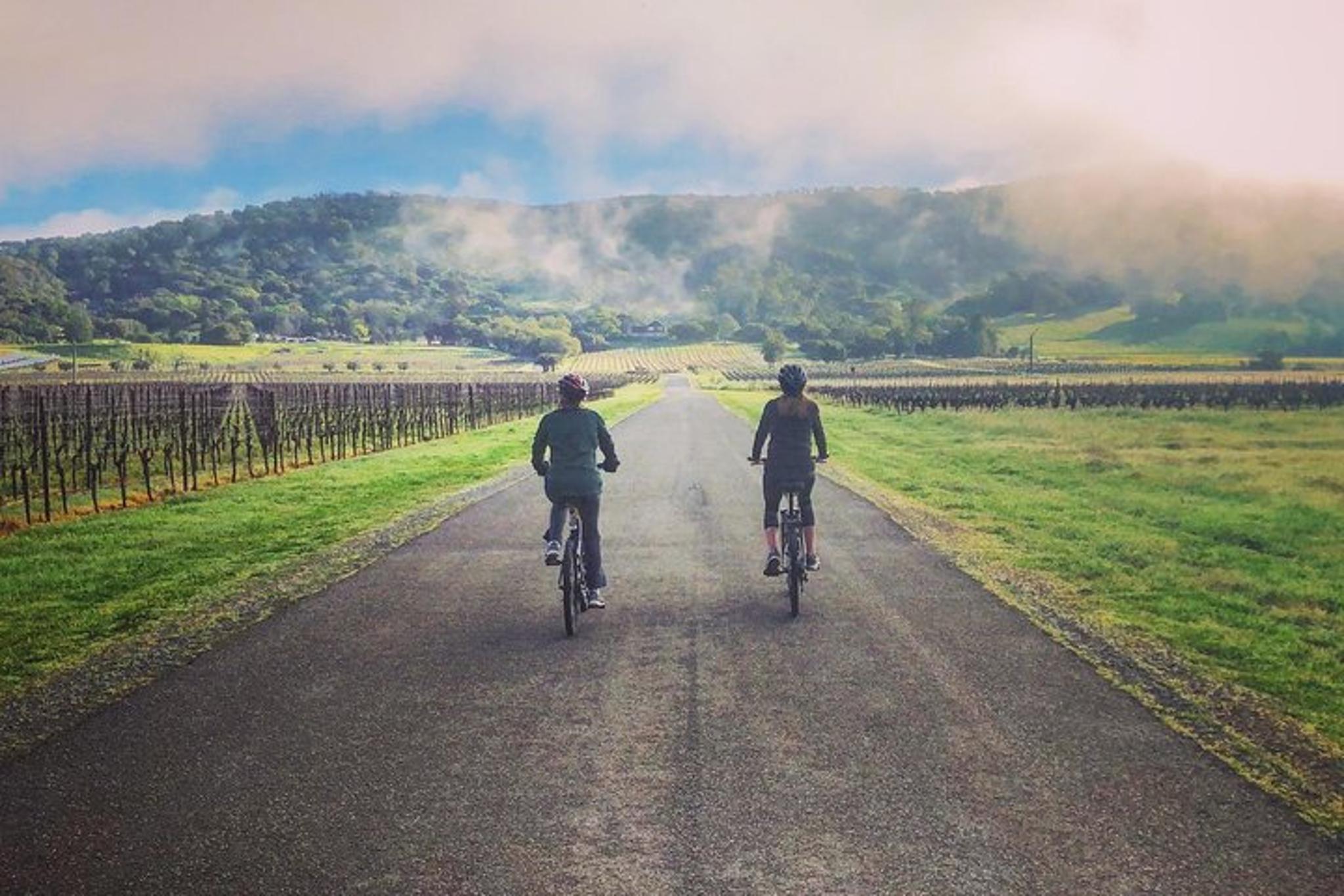 Sonoma Valley Pedal Assist Bike Tour with Lunch - Image 4