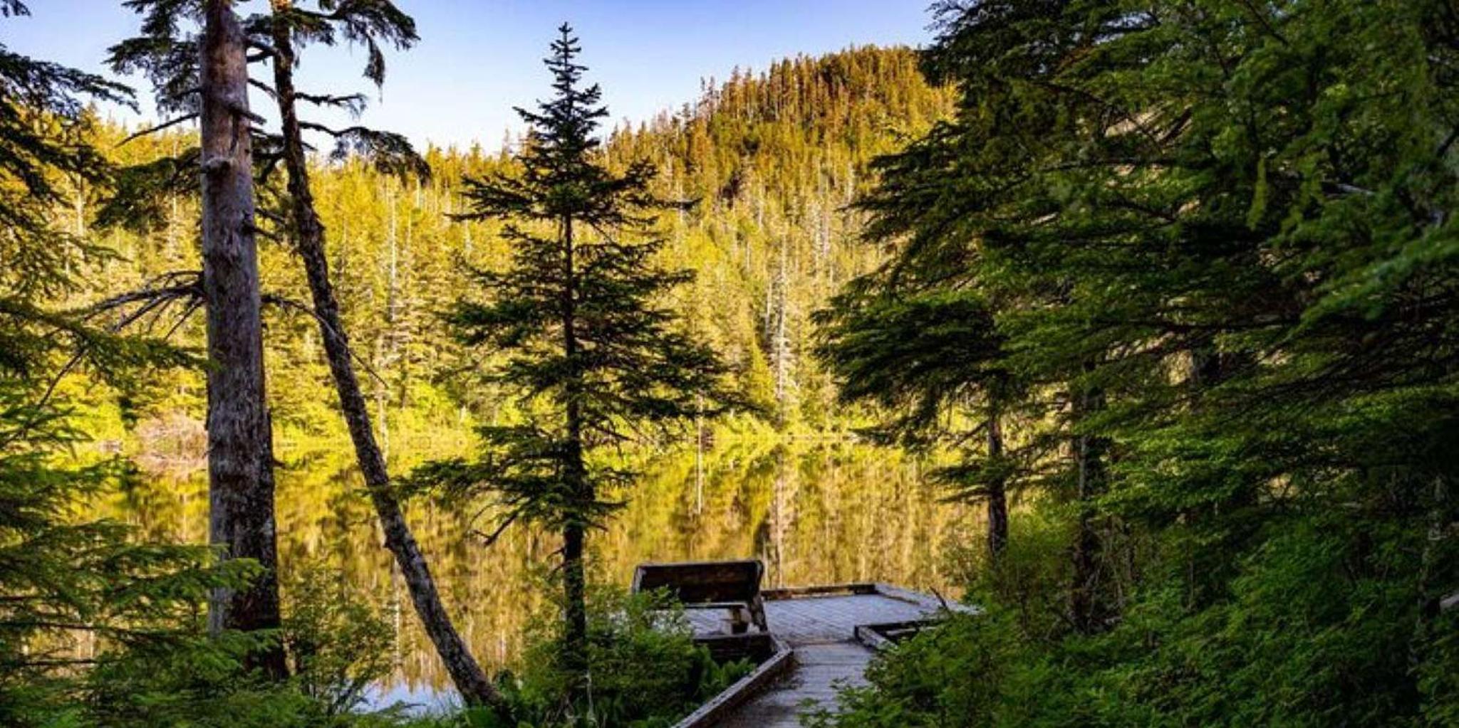 Ketchikan Mountain Lake Trek - Image 2