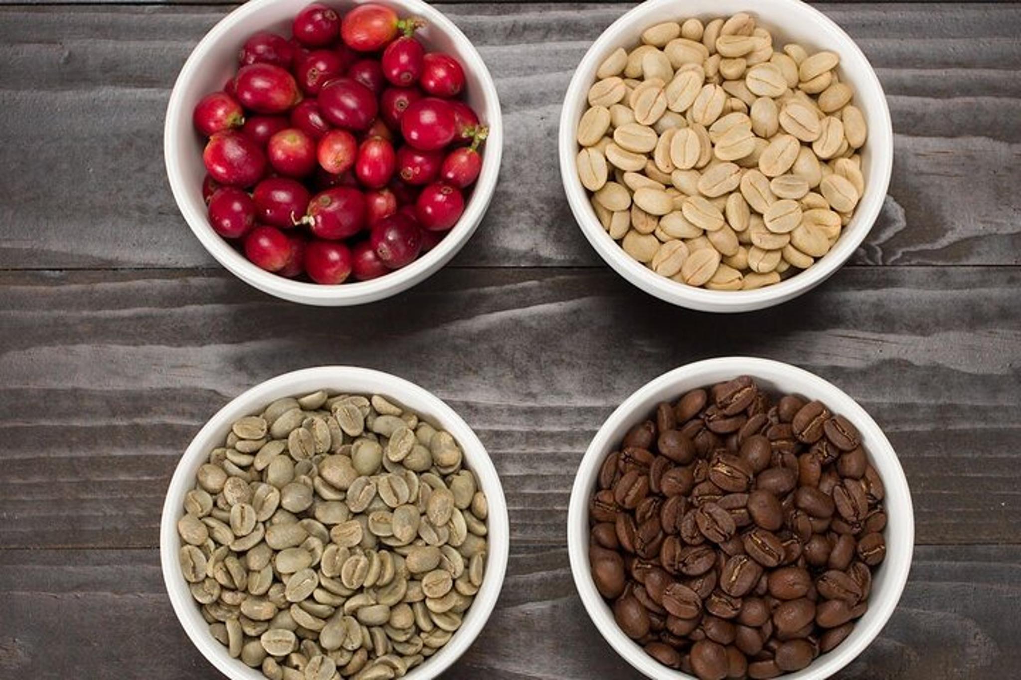 Oahu Coffee Tasting Experience - Image 5