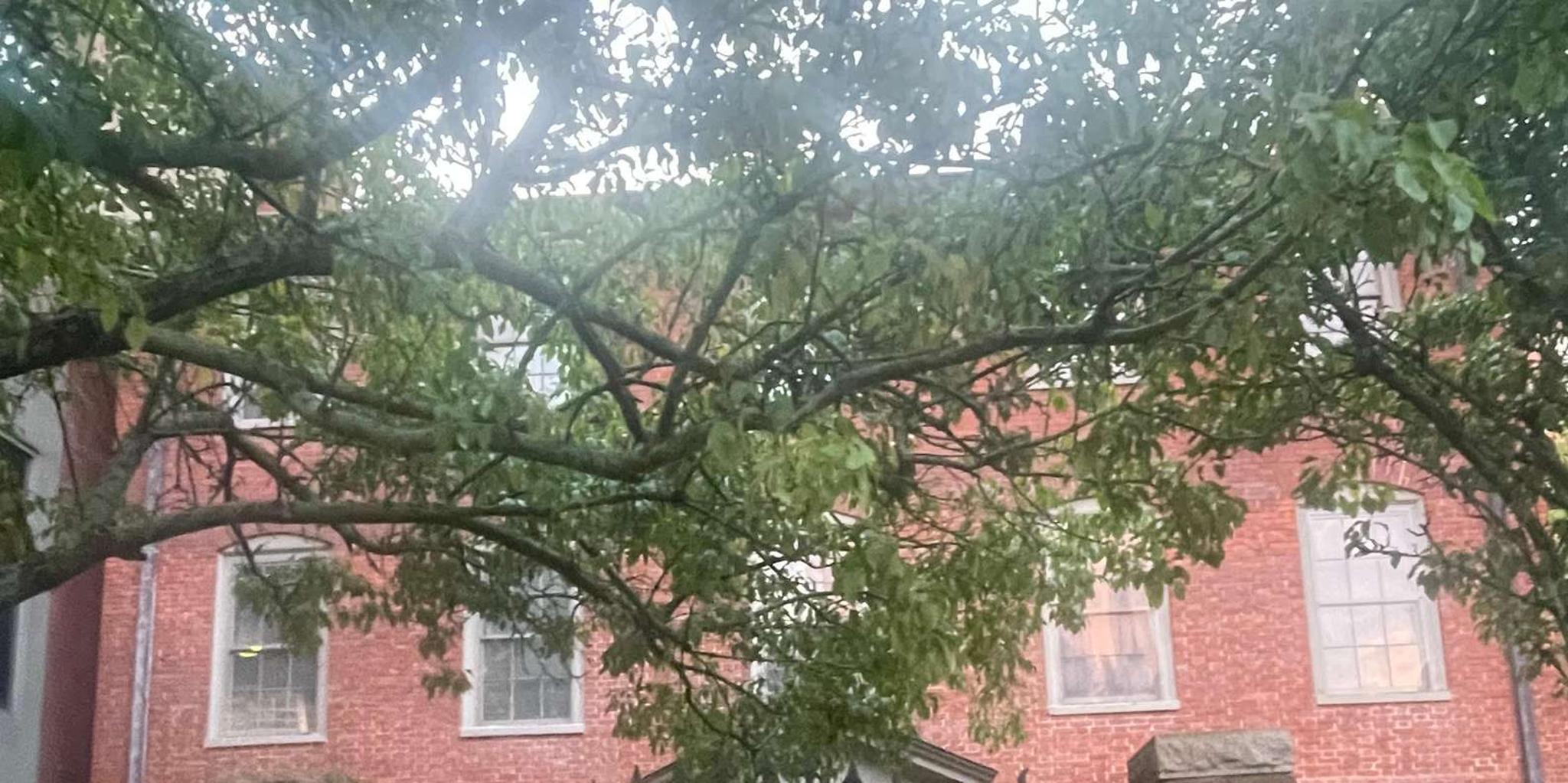 Portland Ghost Walking Tour - Image 3