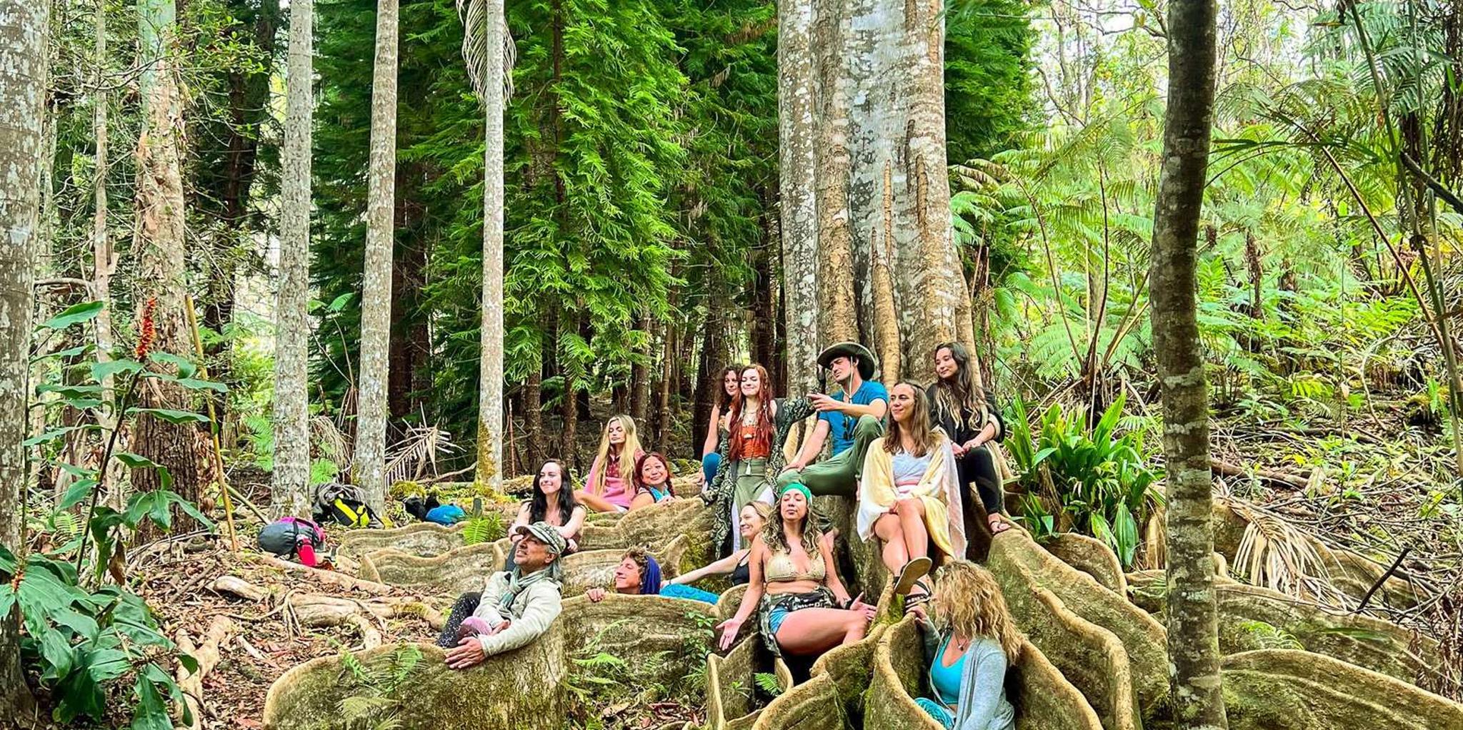 Kona Cloud Forest Sanctuary Montane Jungle Tour 2.5 hr - Image 2