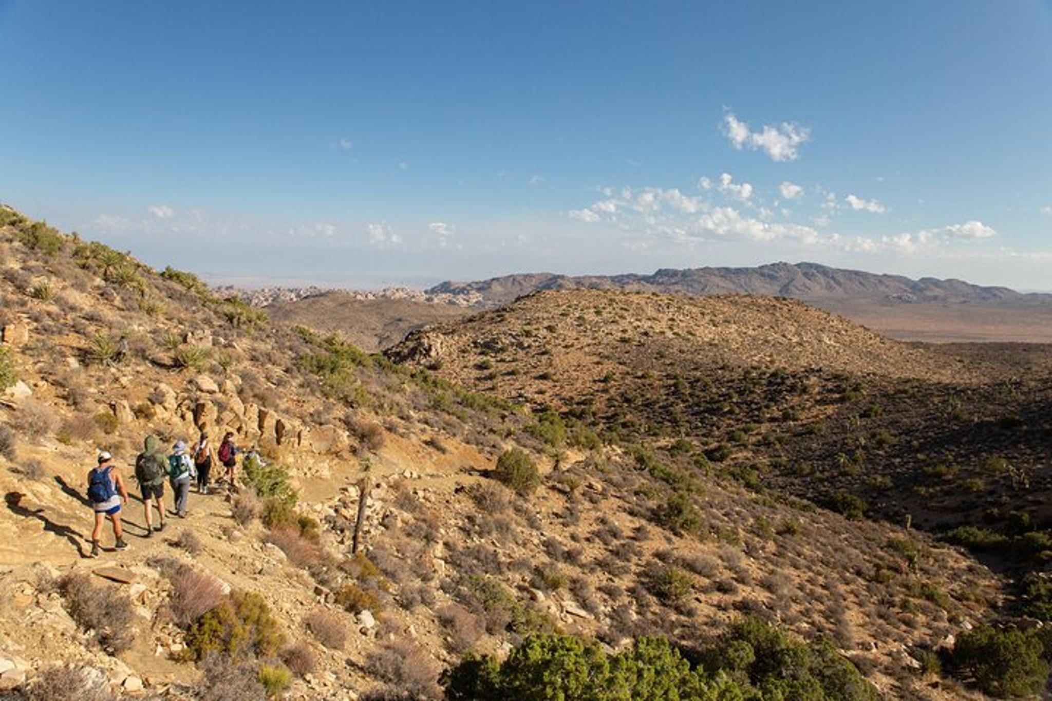 Joshua Tree Sunrise Private Tour & Hike - Image 6