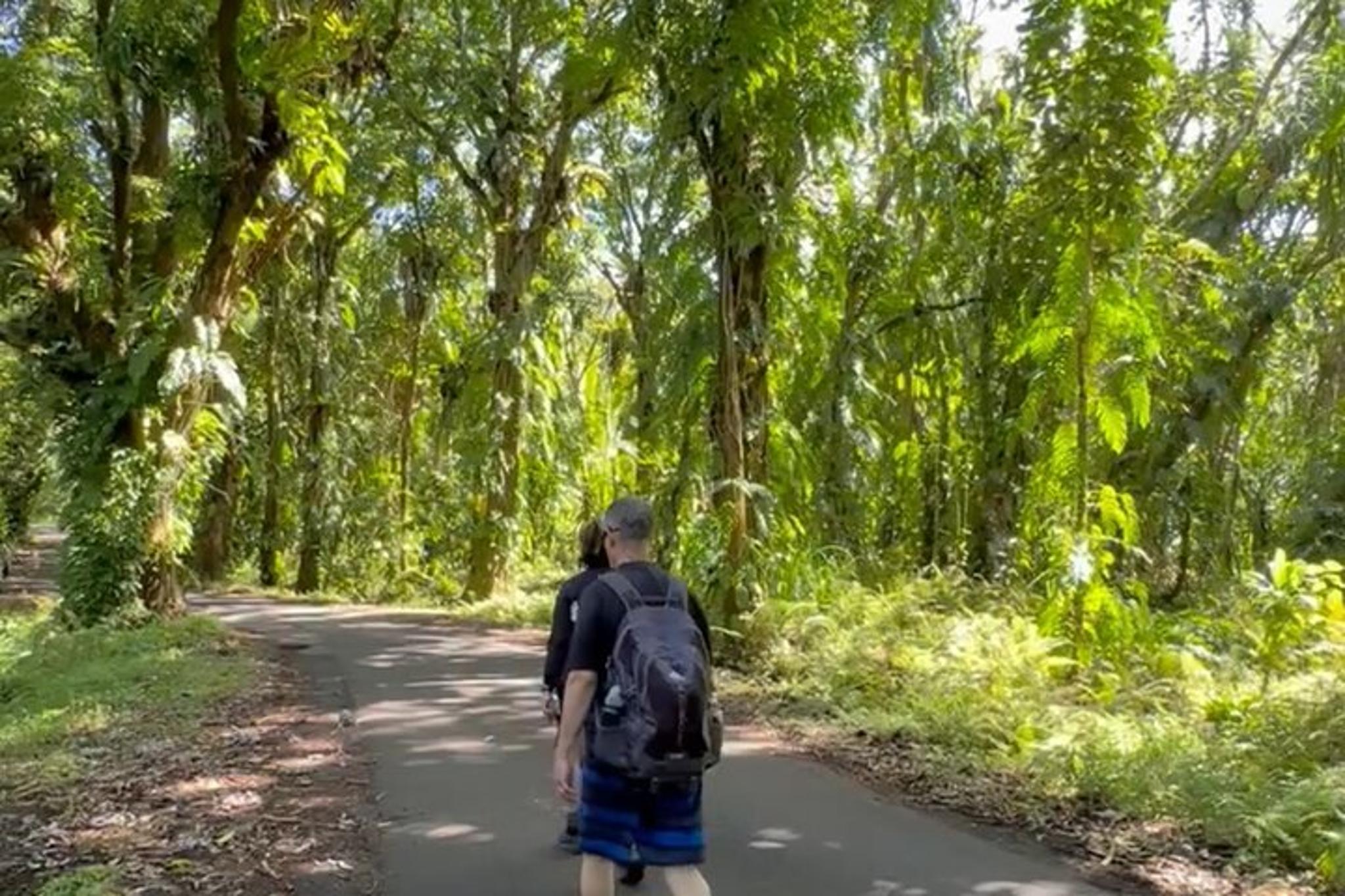 Big Island Tide Pool Hike and Jungle Adventure - Image 5