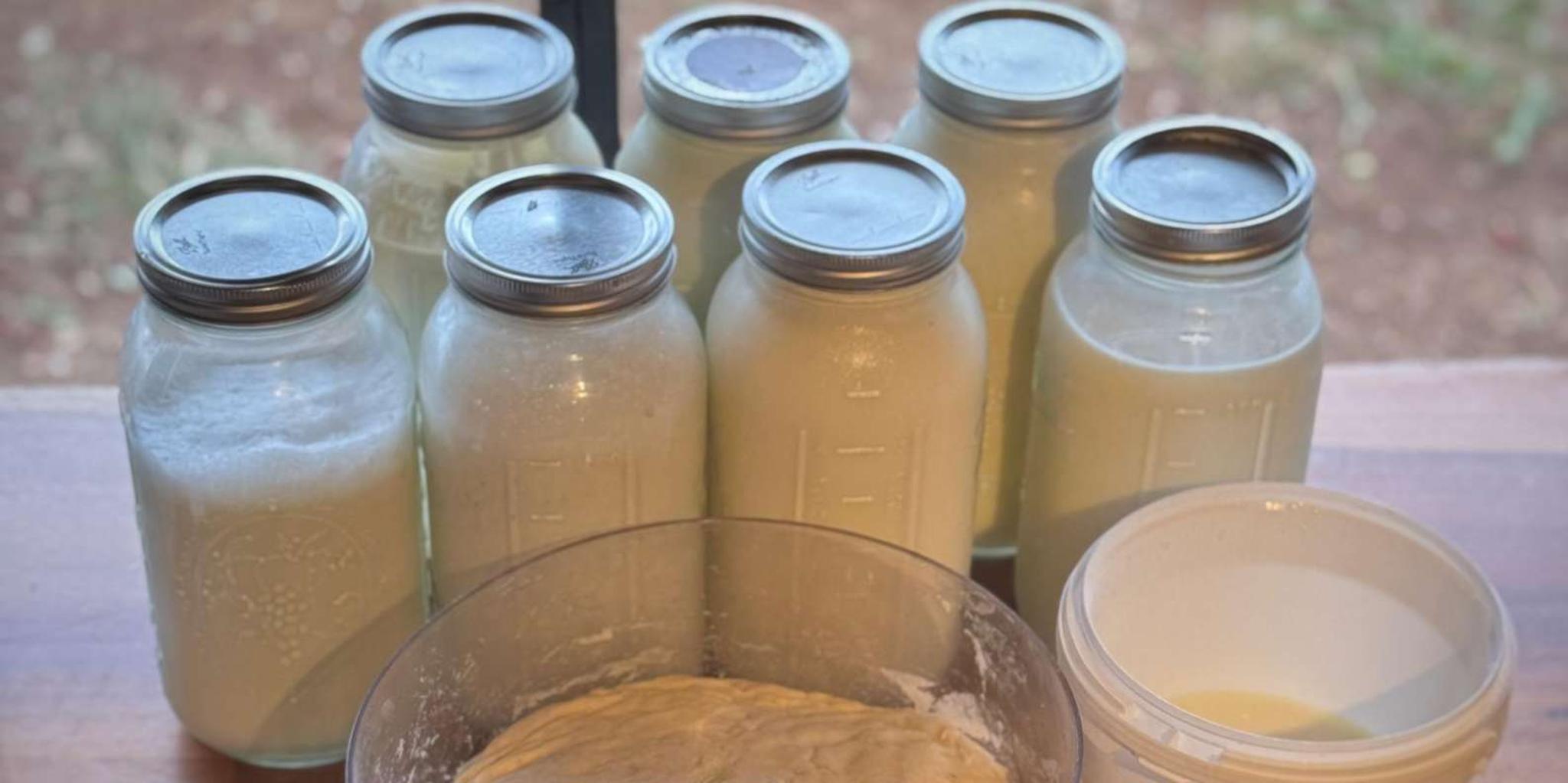 Kauai Farm Animal Experience and MicroDairy Tour - Image 5