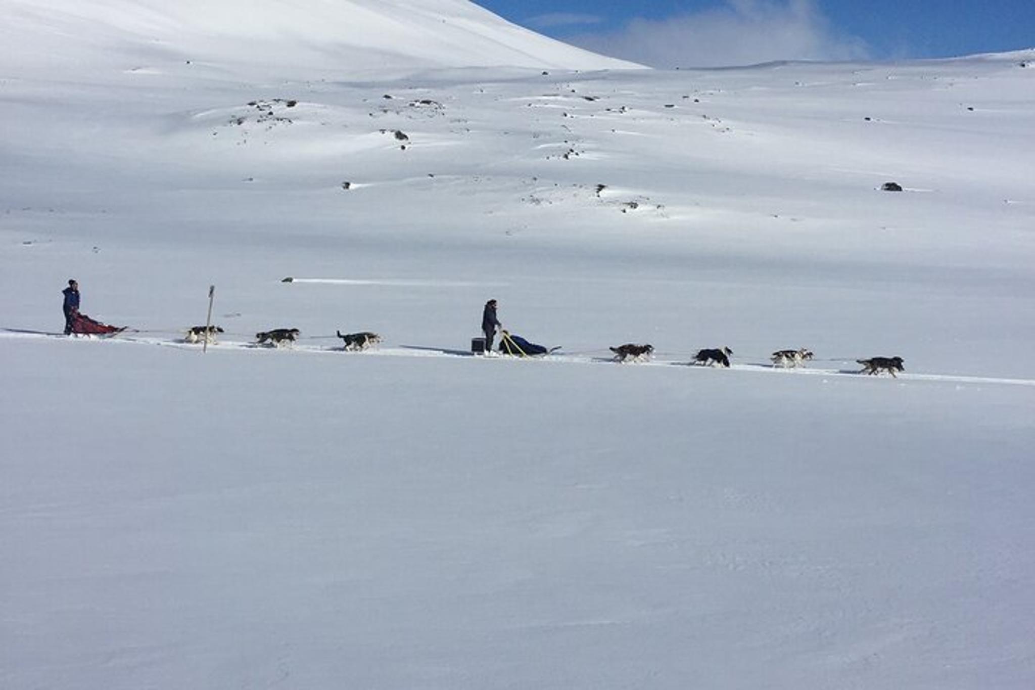 Fairbanks Husky Adventure with Your Own Dog Team 5 Days